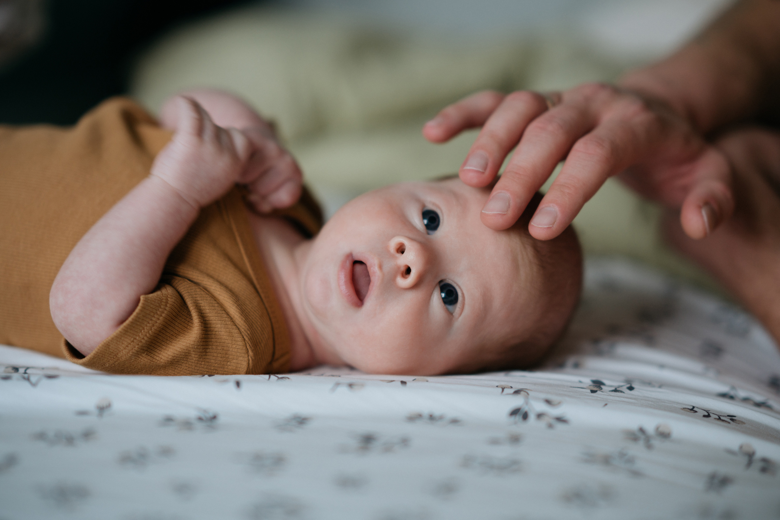 Никита. Свадебный и семейный фотограф в Калининграде Анастасия Гриценко