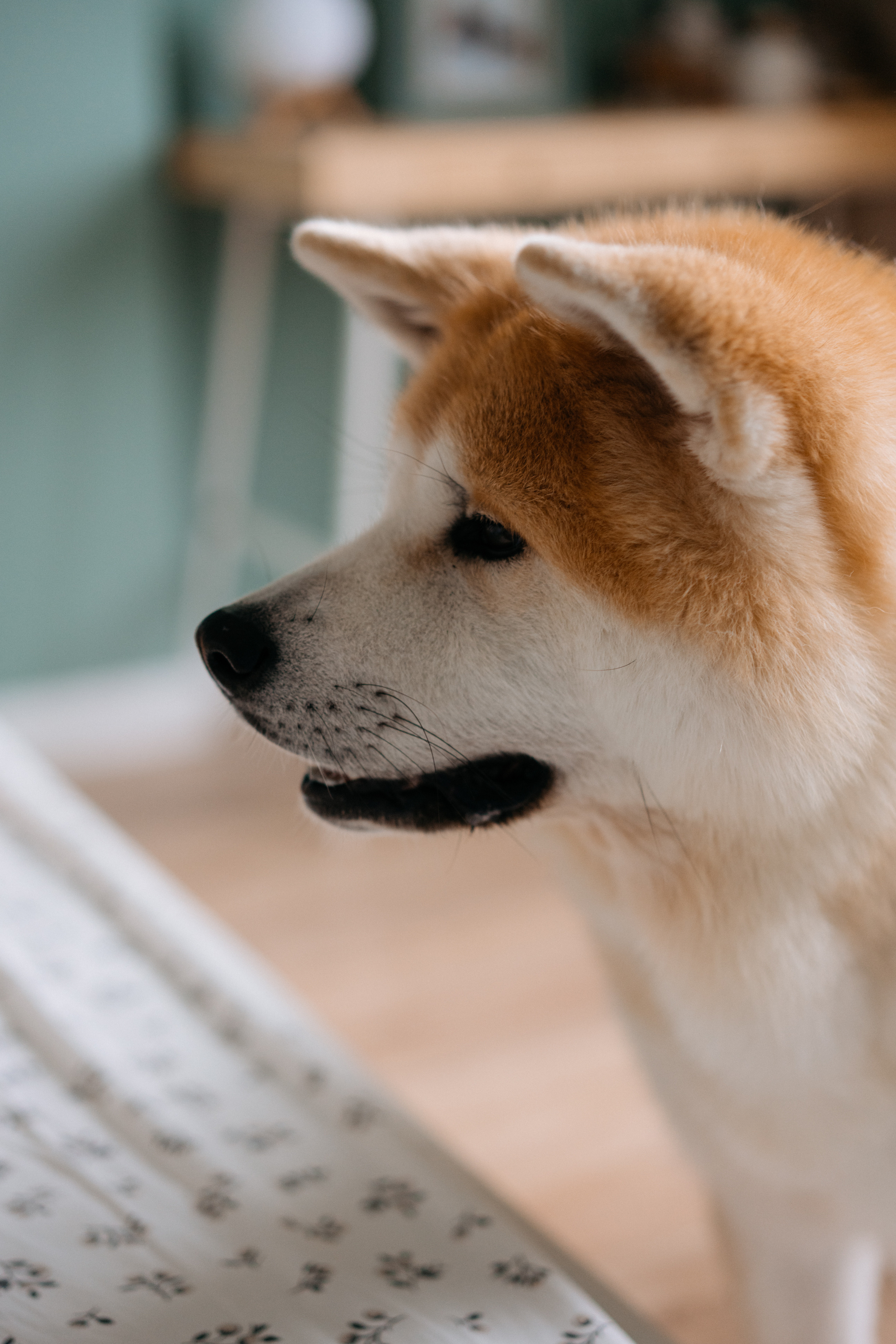 Никита. Свадебный и семейный фотограф в Калининграде Анастасия Гриценко