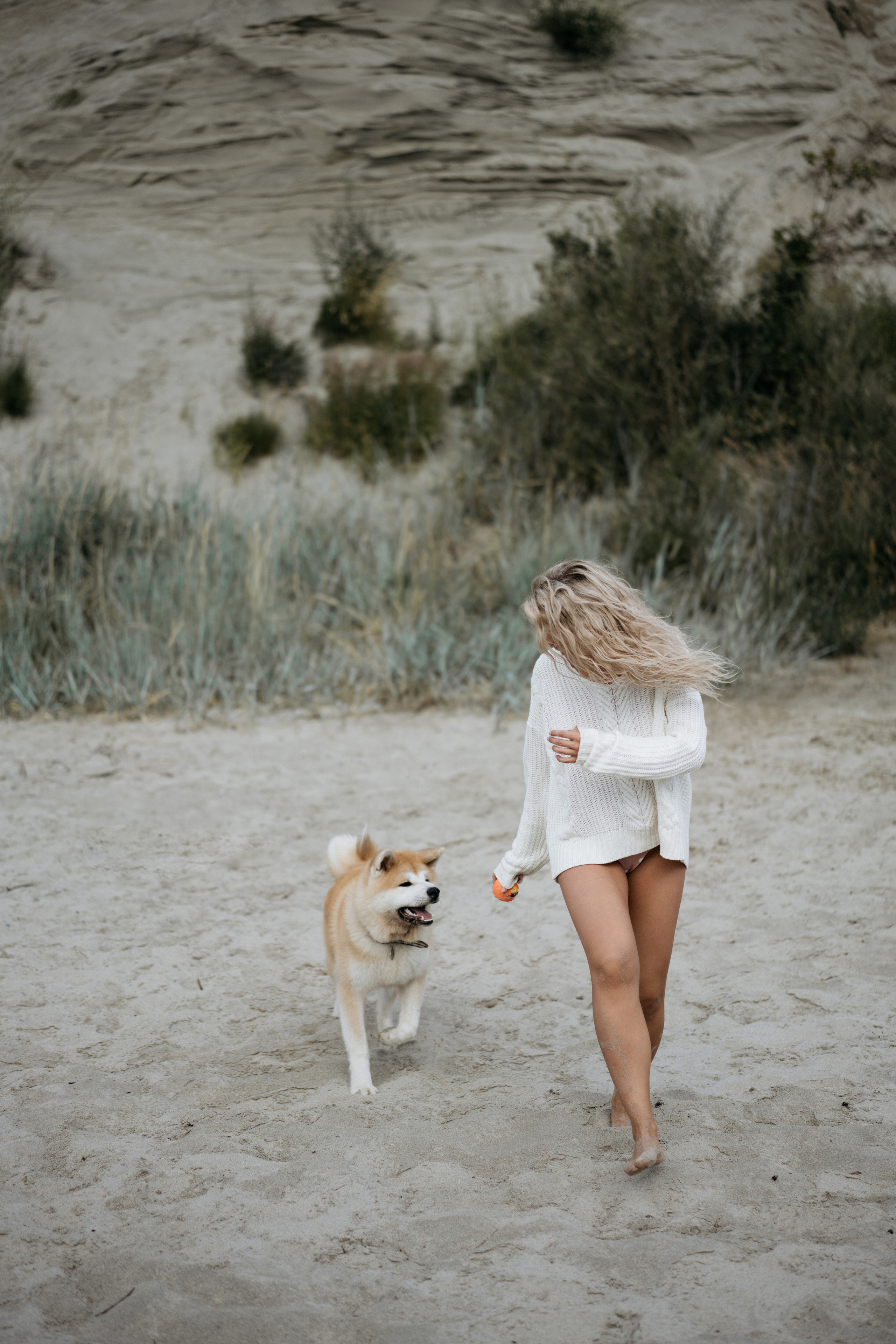Фотосессия в ожидании, с акитой на берегу моря. Свадебный и семейный фотограф в Калининграде Анастасия Гриценко