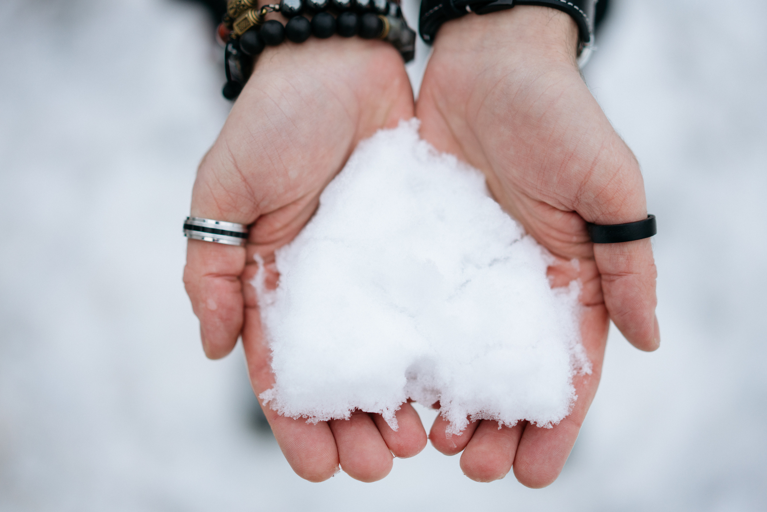 Красивая новогодняя фотосессия с машиной елкой и собакой. Свадебный и семейный фотограф в Калининграде Анастасия Гриценко