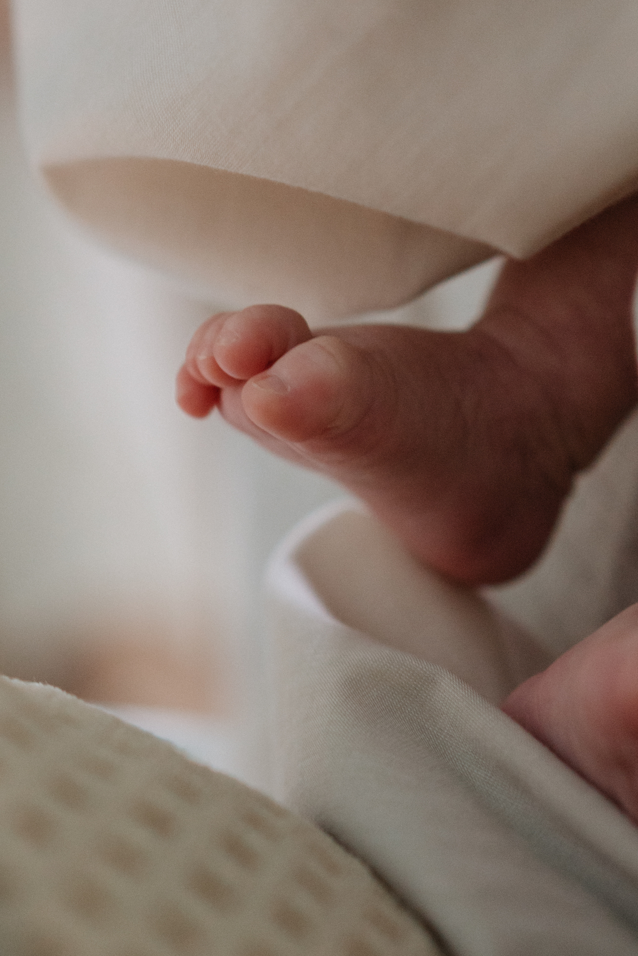 Никита. Свадебный и семейный фотограф в Калининграде Анастасия Гриценко