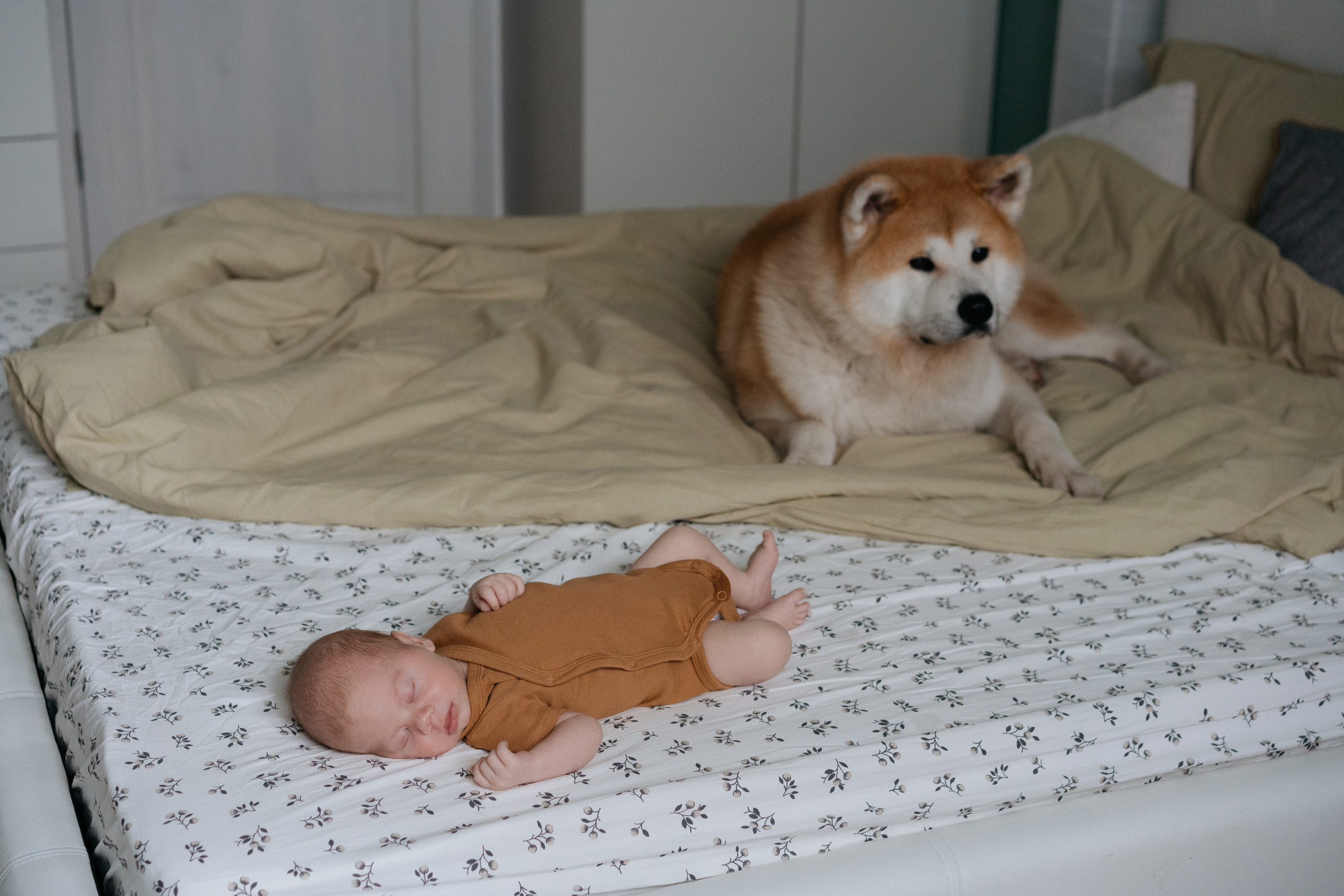 Никита. Свадебный и семейный фотограф в Калининграде Анастасия Гриценко