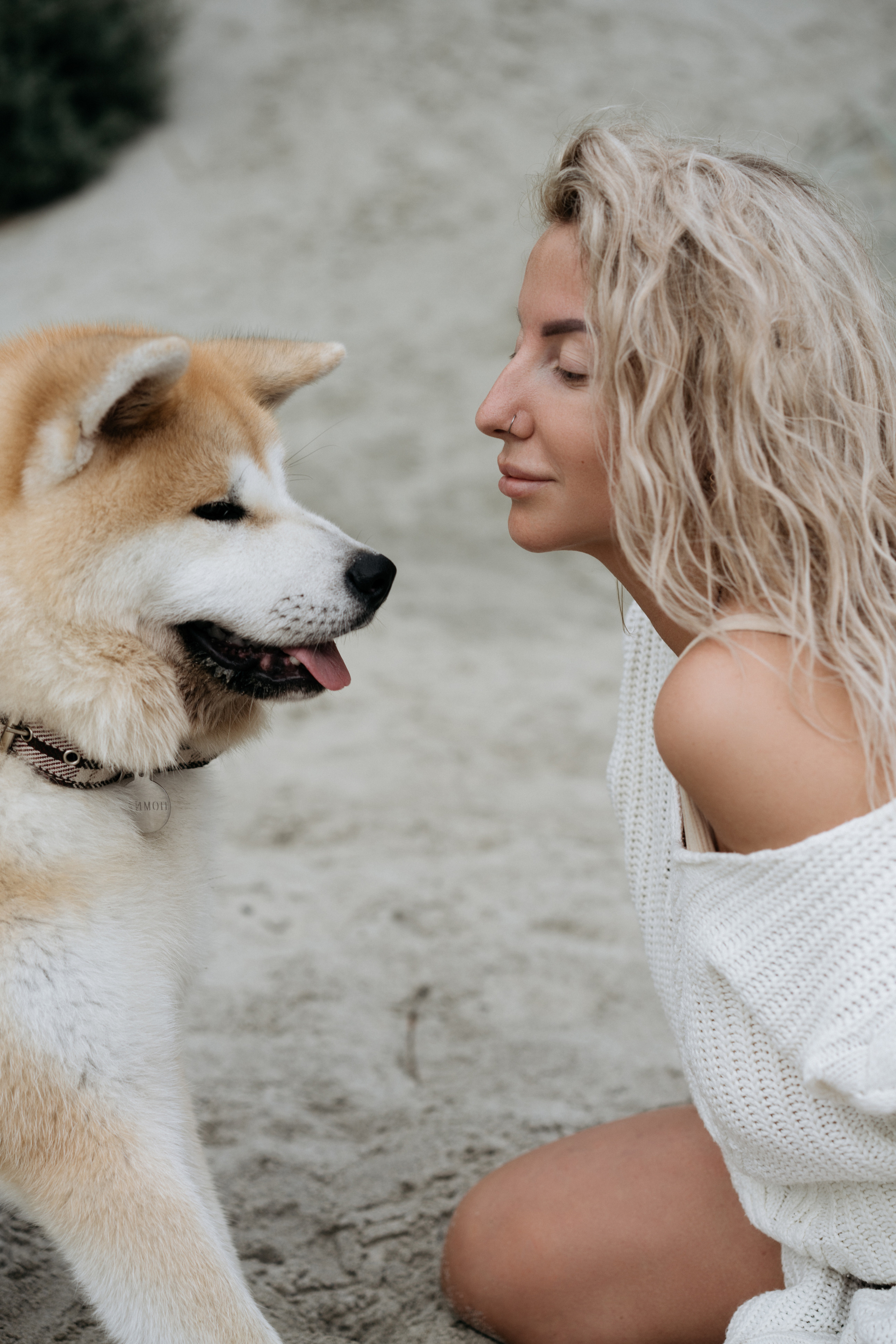 Фотосессия в ожидании, с акитой на берегу моря. Свадебный и семейный фотограф в Калининграде Анастасия Гриценко