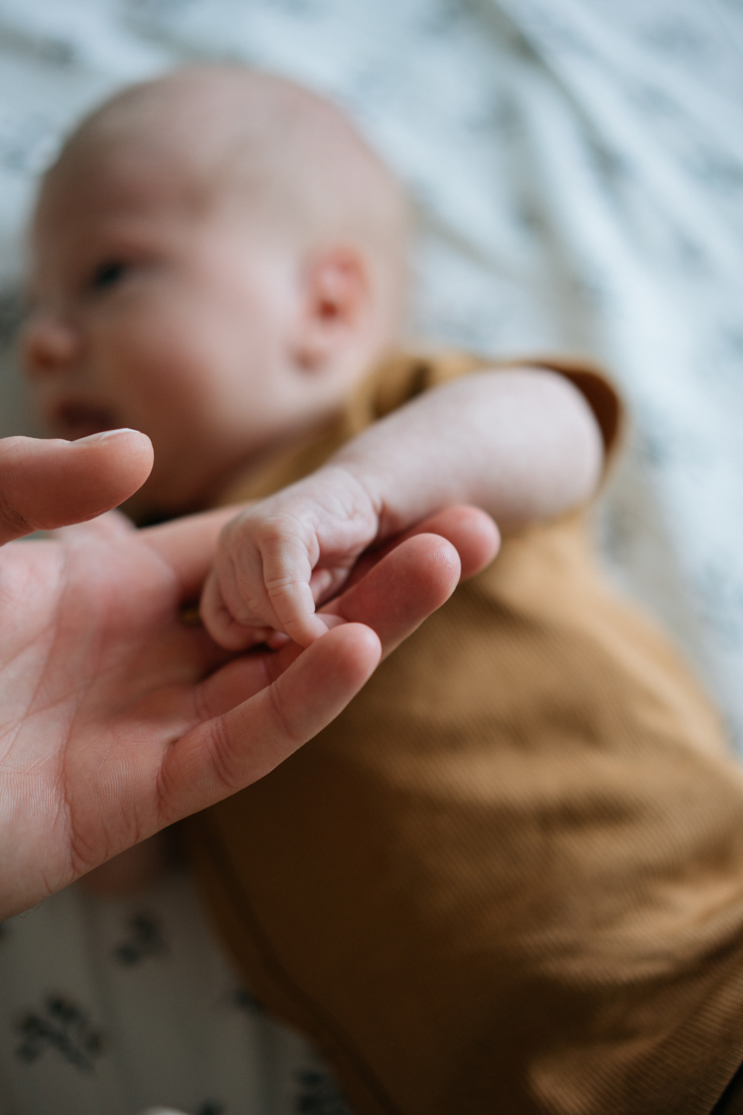 Никита. Свадебный и семейный фотограф в Калининграде Анастасия Гриценко