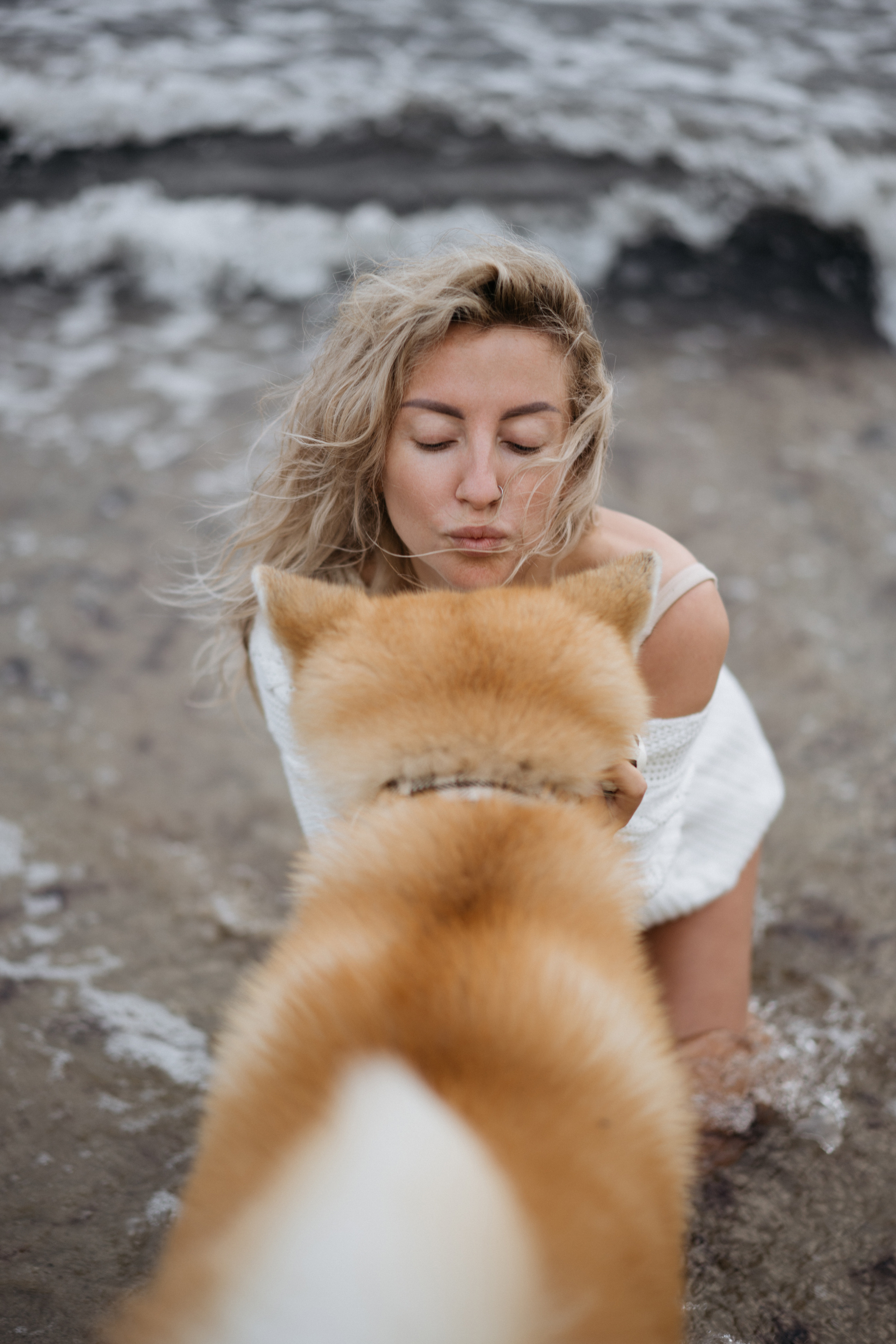 Фотосессия в ожидании, с акитой на берегу моря. Свадебный и семейный фотограф в Калининграде Анастасия Гриценко