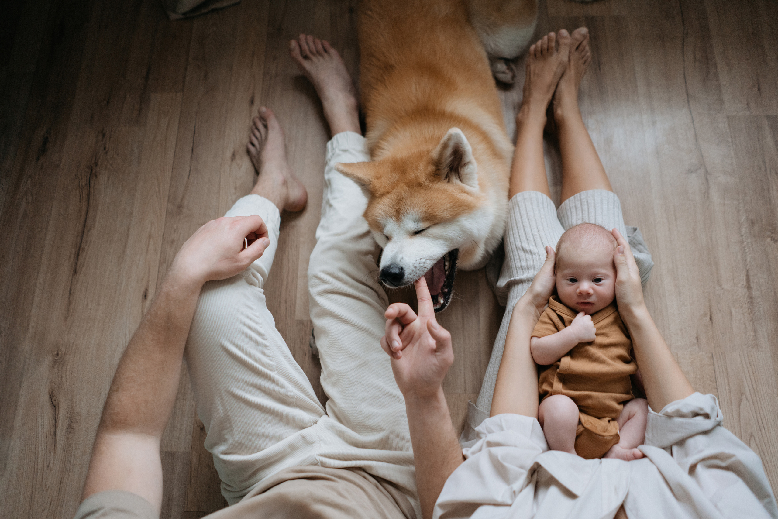 Никита. Свадебный и семейный фотограф в Калининграде Анастасия Гриценко
