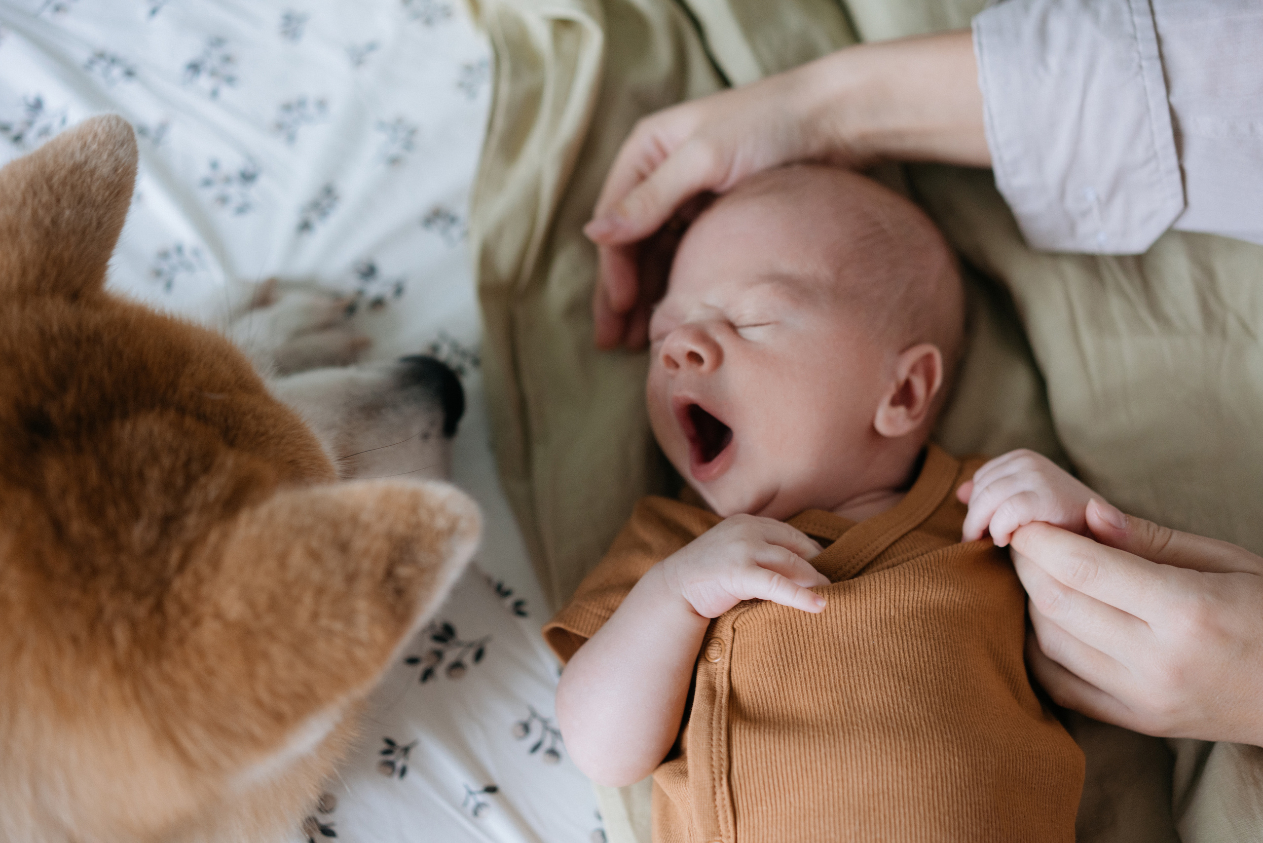 Никита. Свадебный и семейный фотограф в Калининграде Анастасия Гриценко