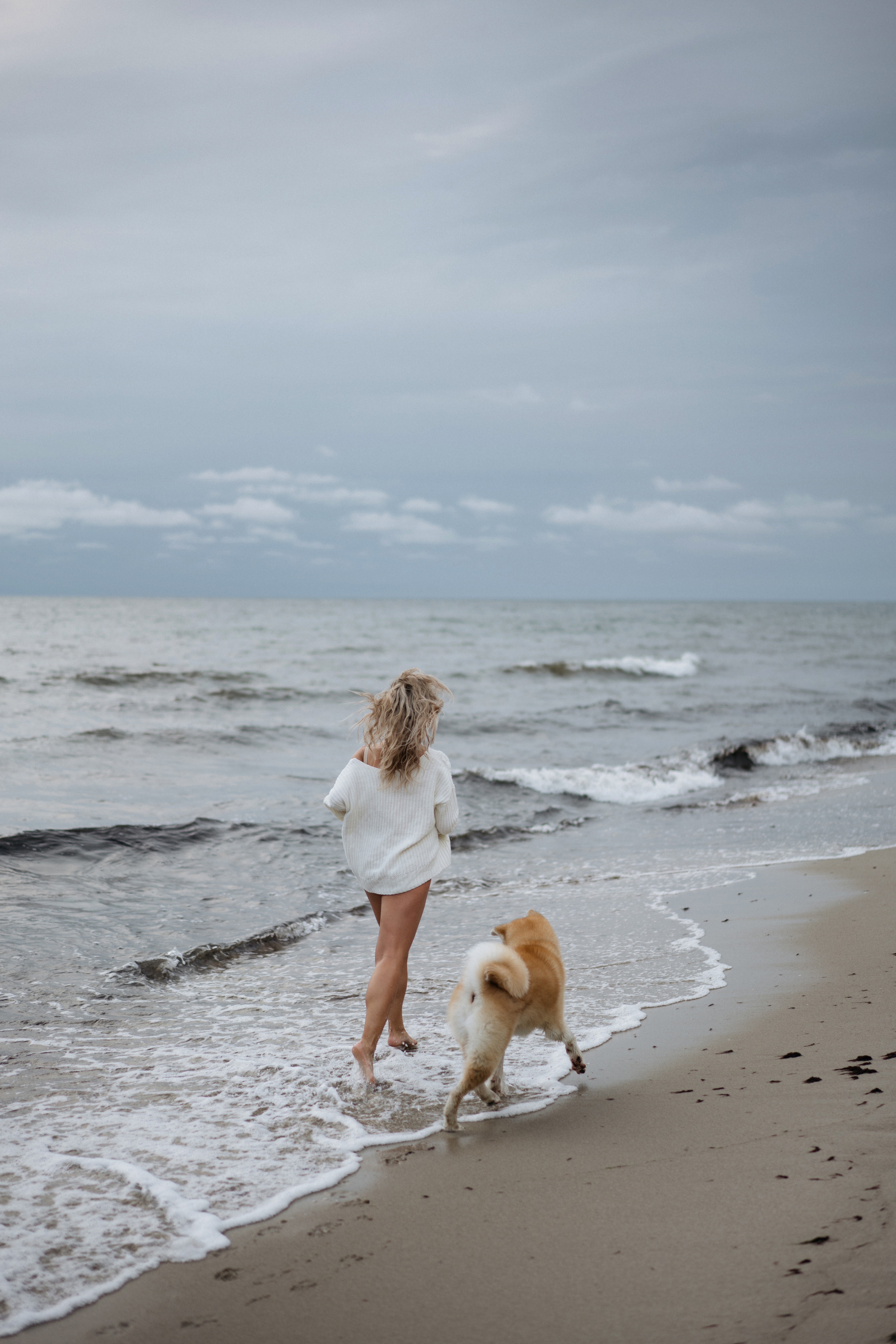 Фотосессия в ожидании, с акитой на берегу моря. Свадебный и семейный фотограф в Калининграде Анастасия Гриценко