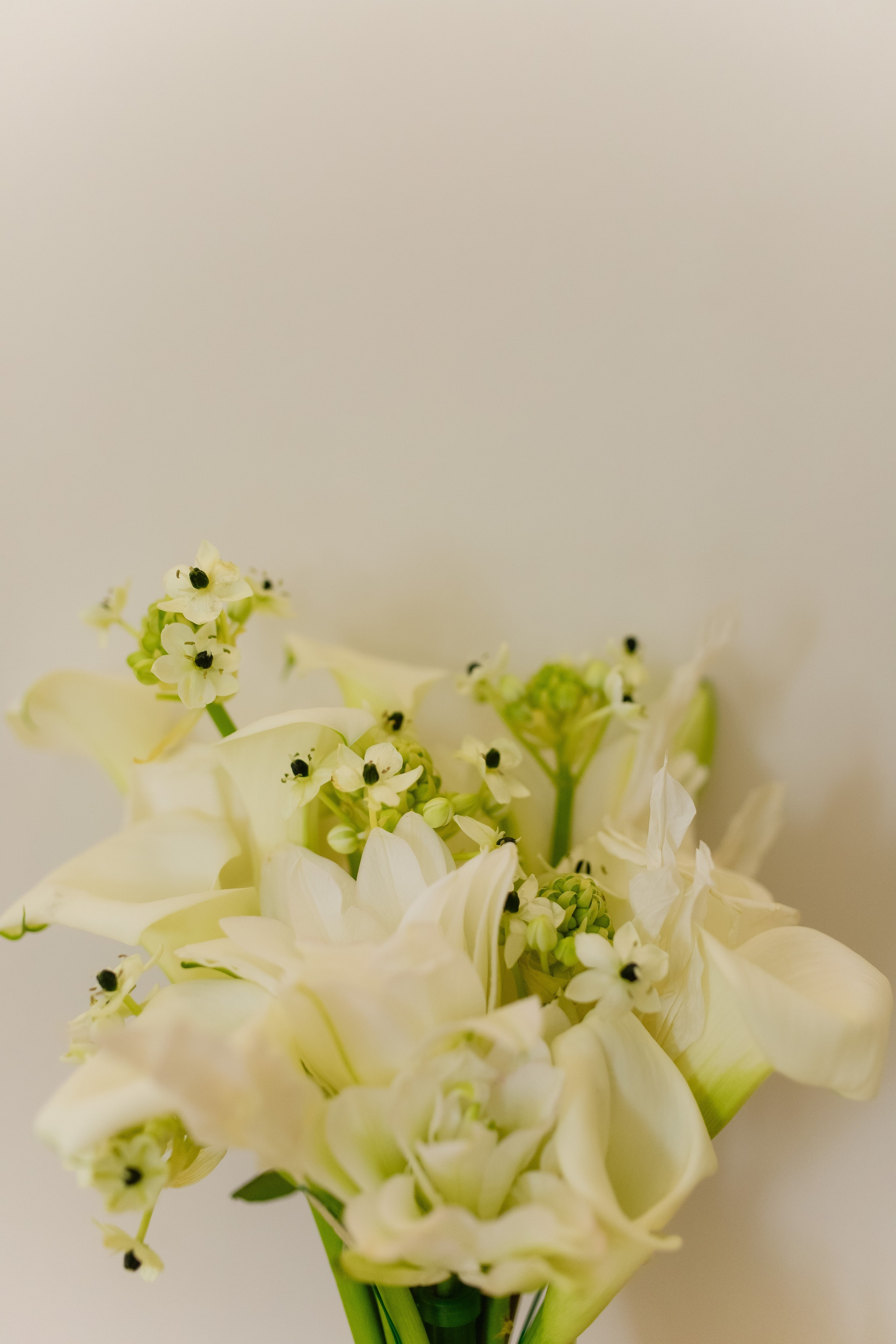 Виктория и Данил 28.09.25. Индивидуальный, семейный и свадебный фотограф