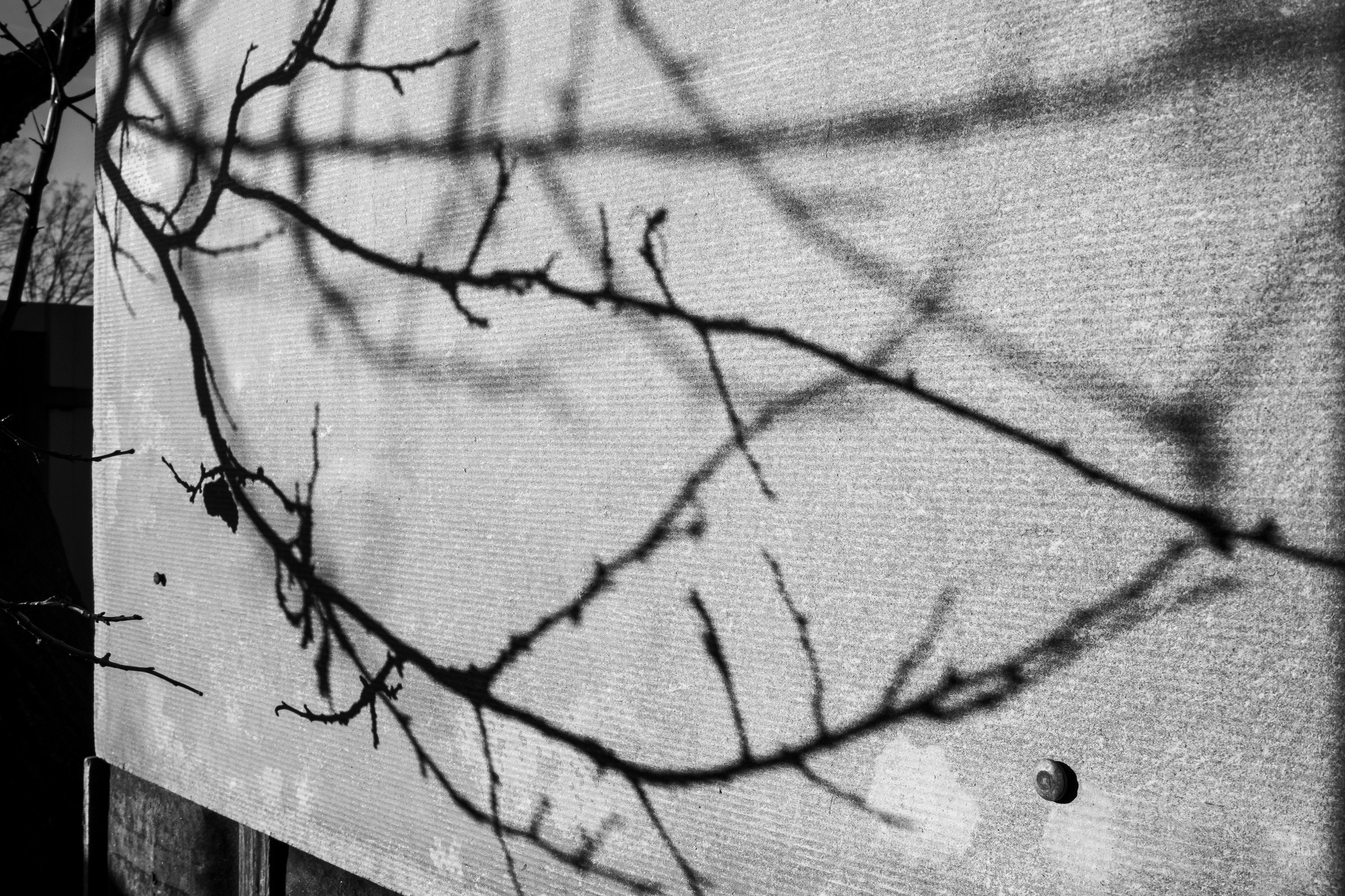 Деревня / Юг. Фотограф Антон Денисенко: Портрет, Документалистика, Пейзаж. Москва