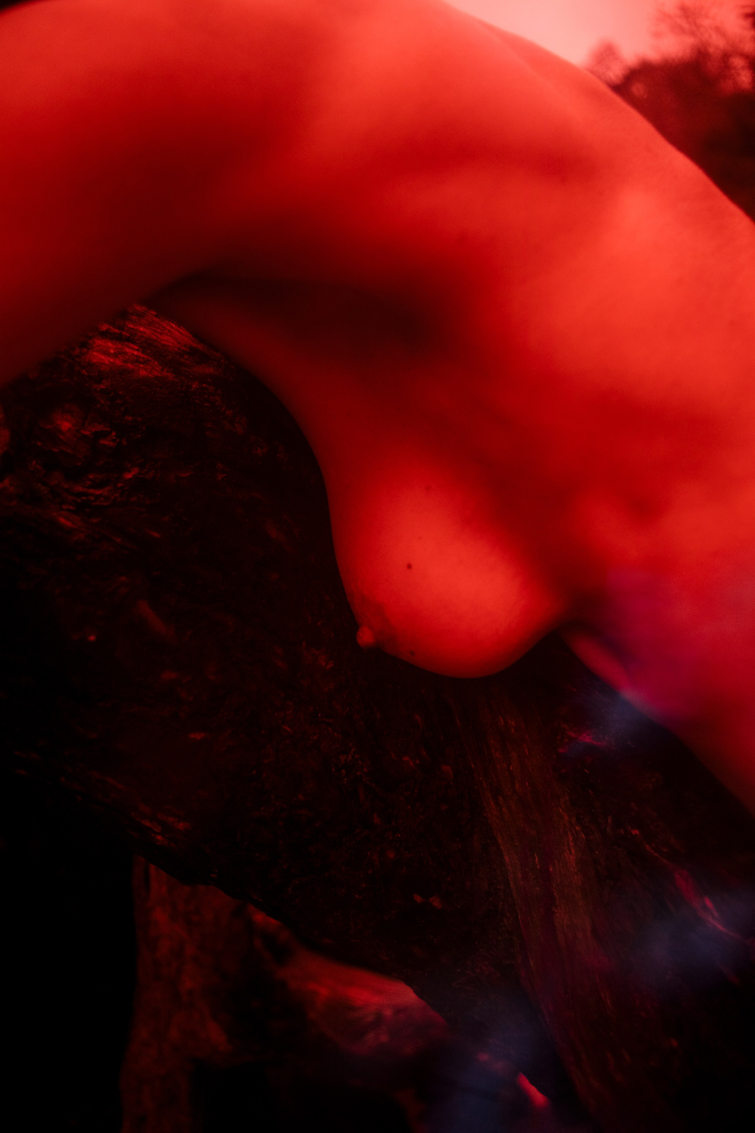 Сосны. Ольга Пилант. АРТ, бэкстейдж, свадебная и семейная фотография, городской портрет, интерьерная фотография