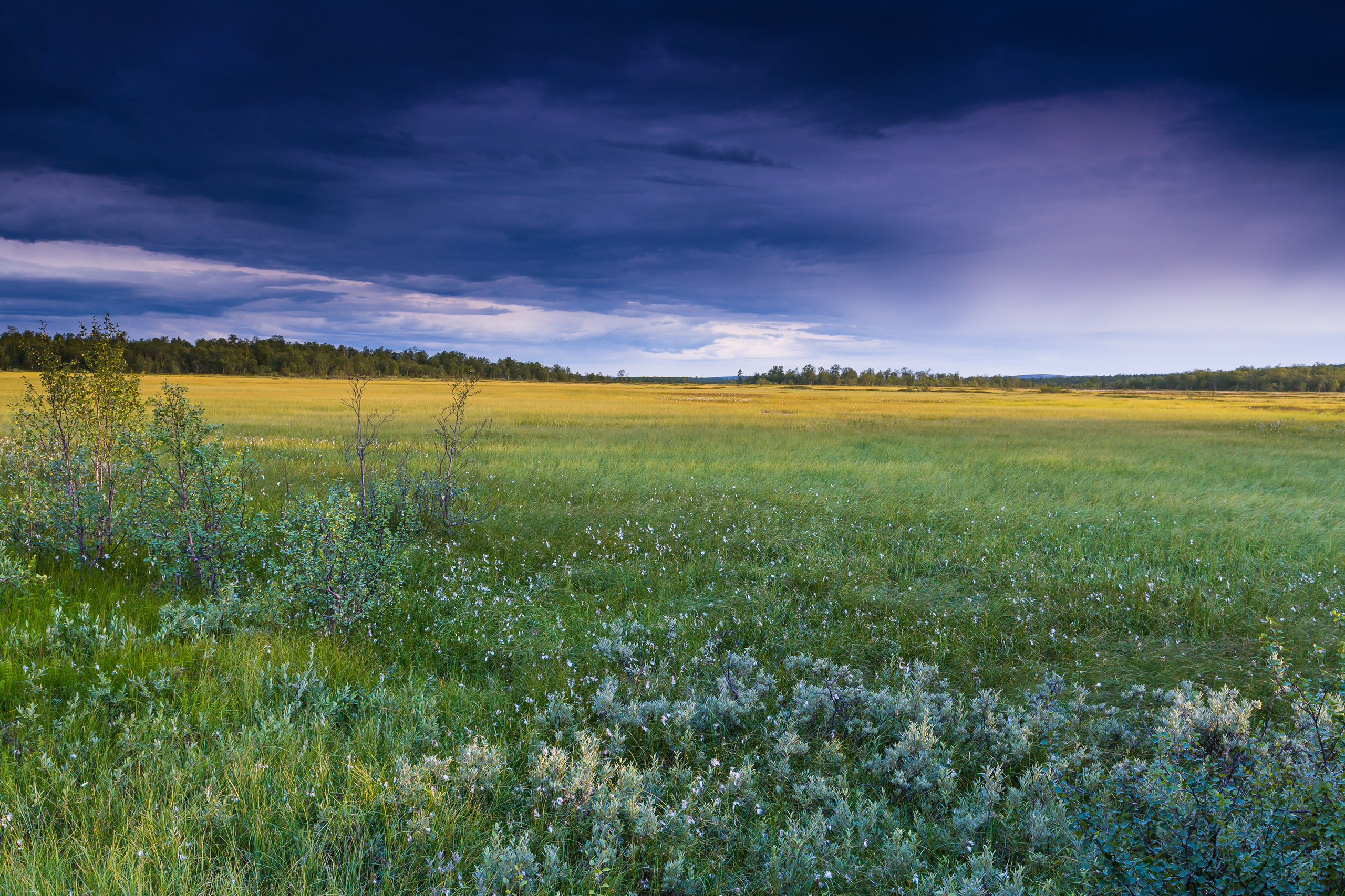 Тундра Лес и Сопки. Пейзажи Крайнего Севера. Баренцево море, Рыбачий, Средний, Немецкий