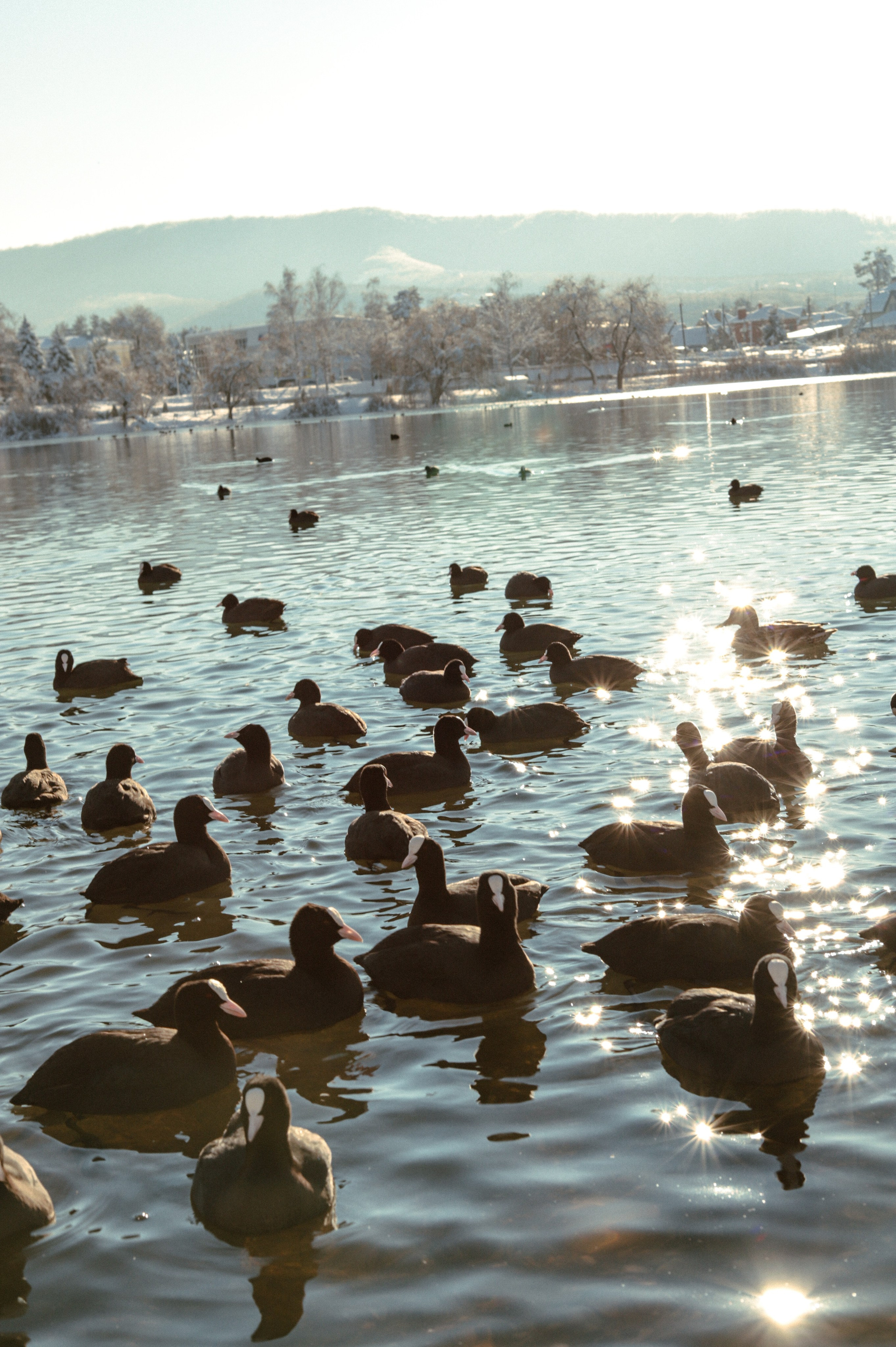 Семейные и беременность. Главная