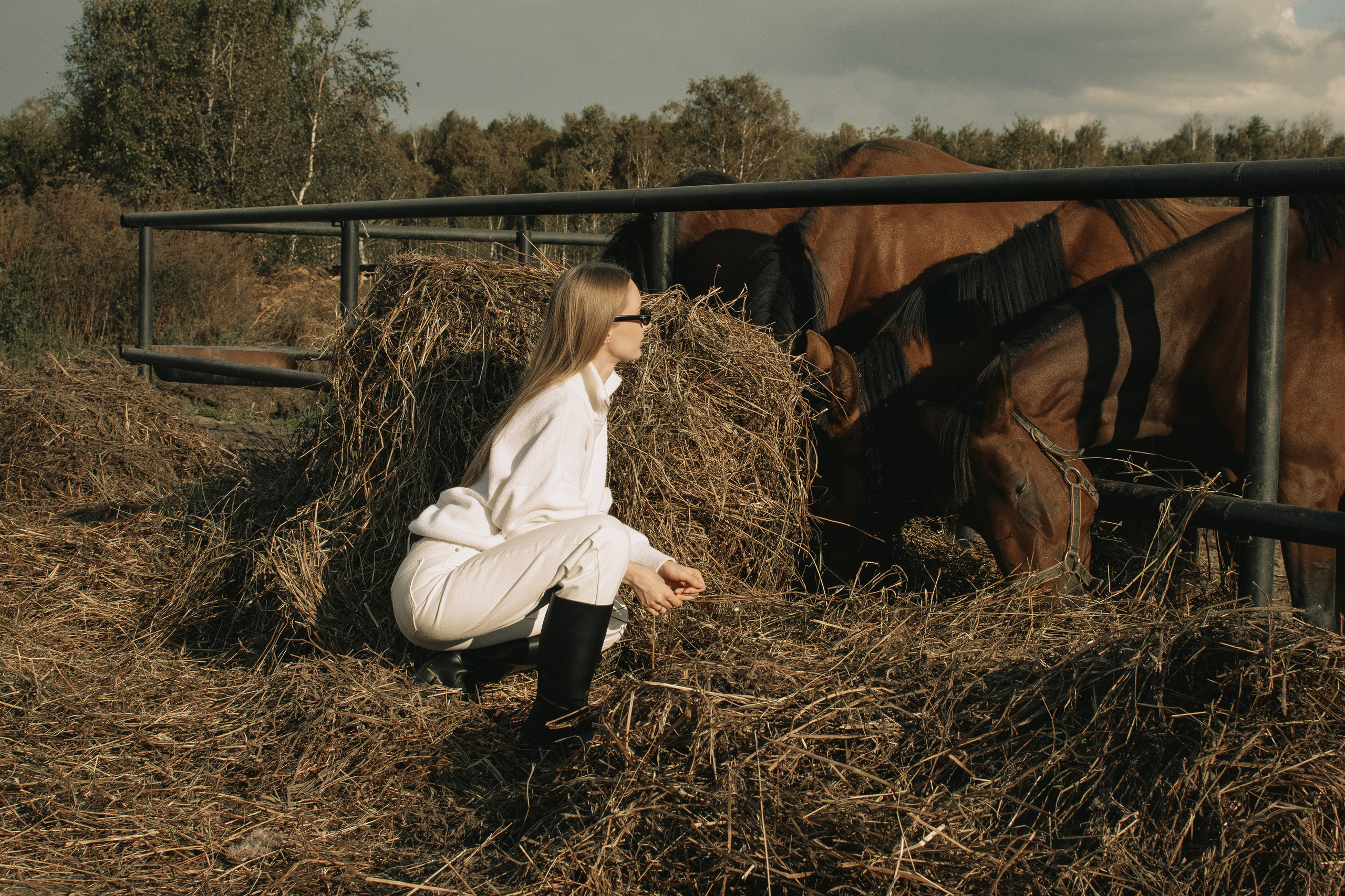 Дом-музей лошадей Хуторъ. Фотографы в Тюмени Андрей и Лидия Войвод