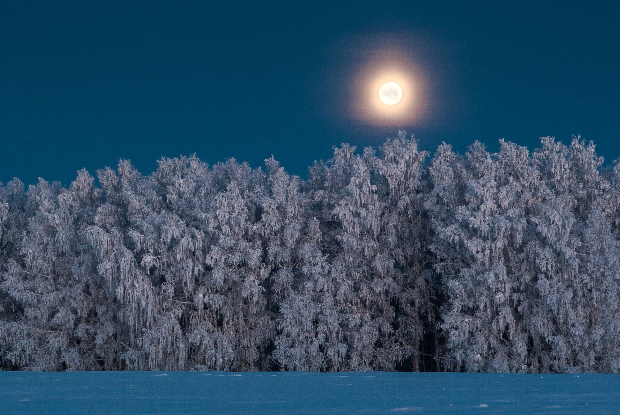 Свадебный фотограф в Геленджике