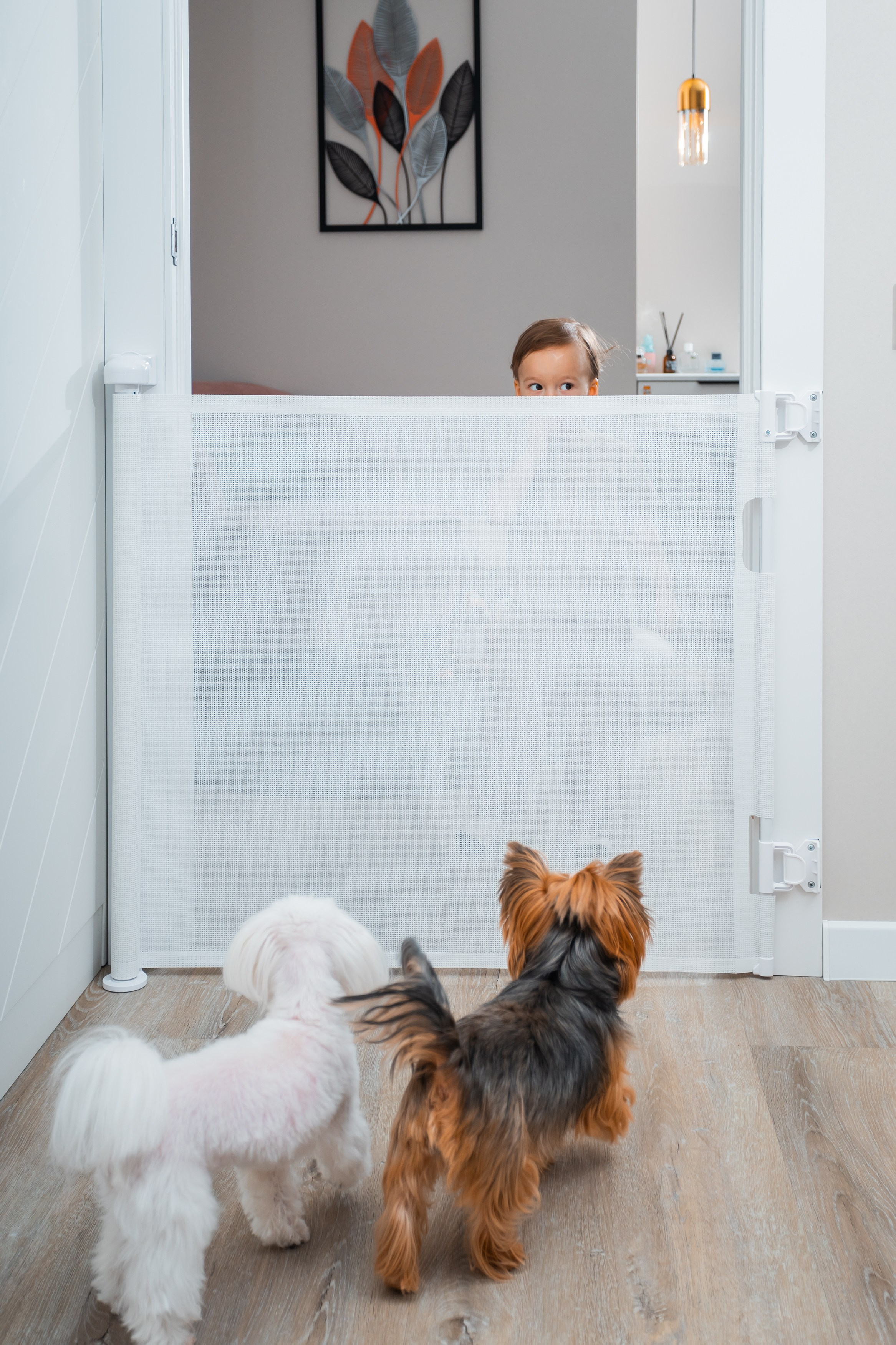 Съёмка товаров для маркетплейс в Тюмени. Фотограф Илья Силин