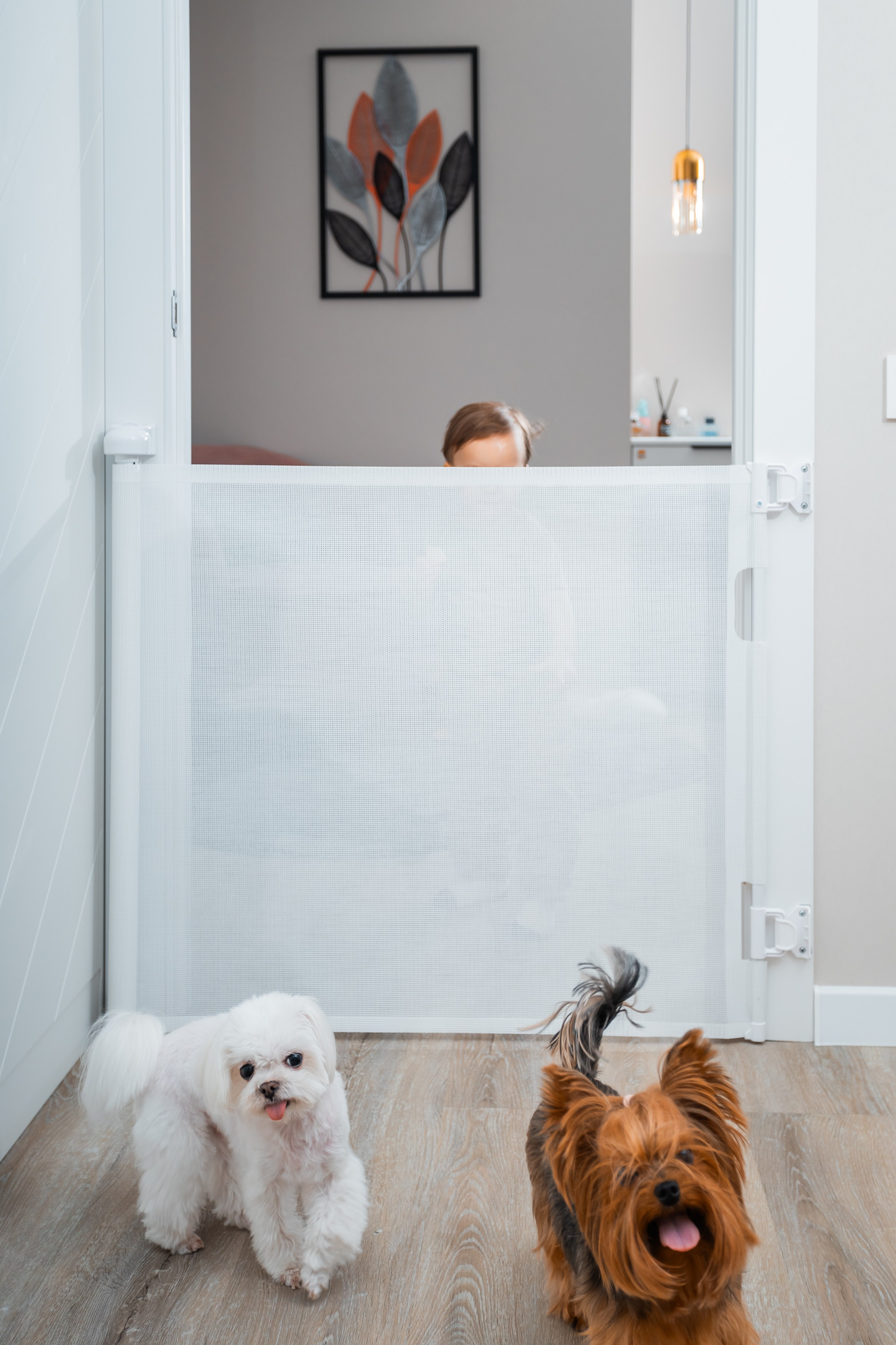 Съёмка товаров для маркетплейс в Тюмени. Фотограф Илья Силин