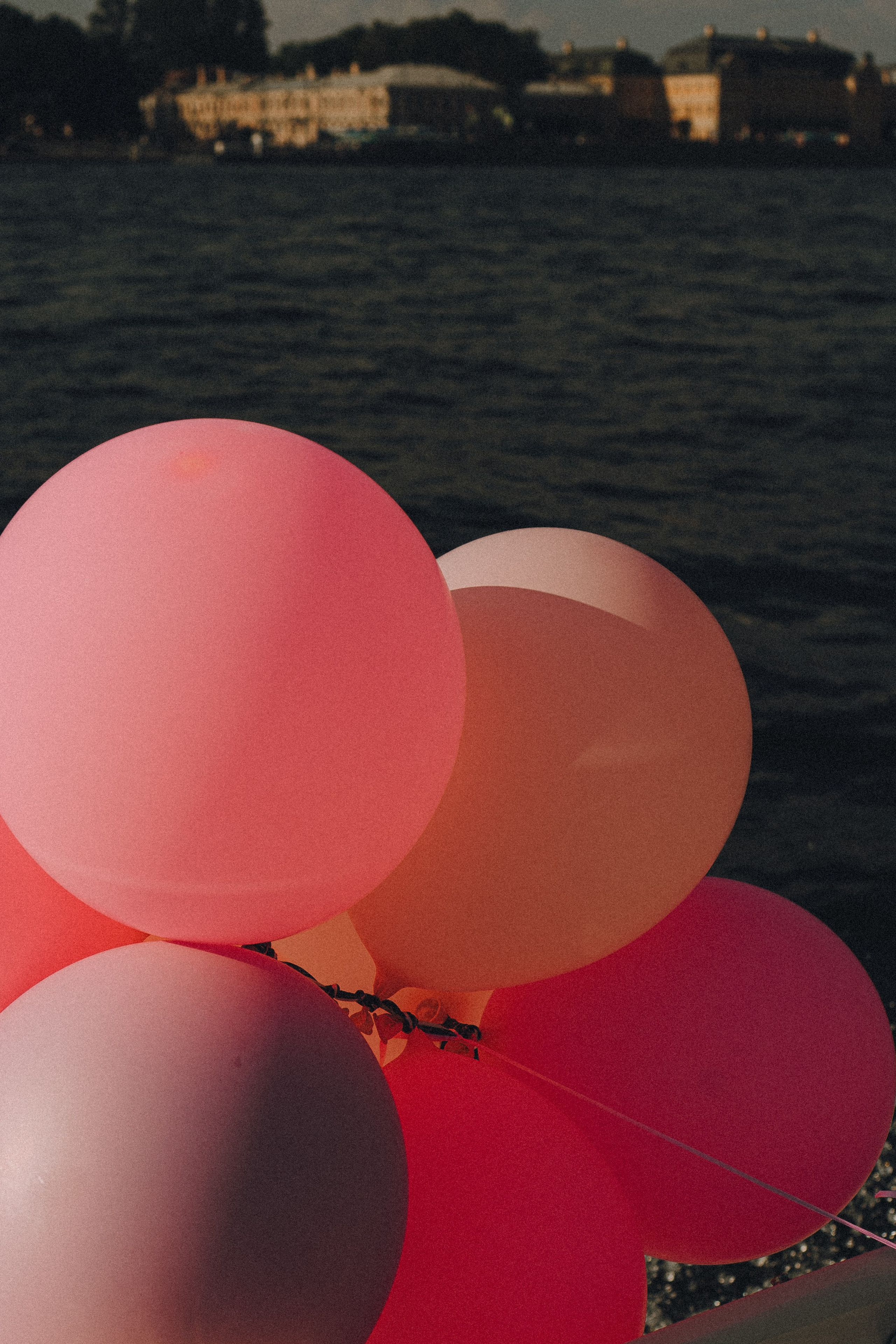 ДЕВИЧНИК НА КАТЕРЕ. Профессиональный фотограф, Санкт-Петербург — Виктория Богомолова