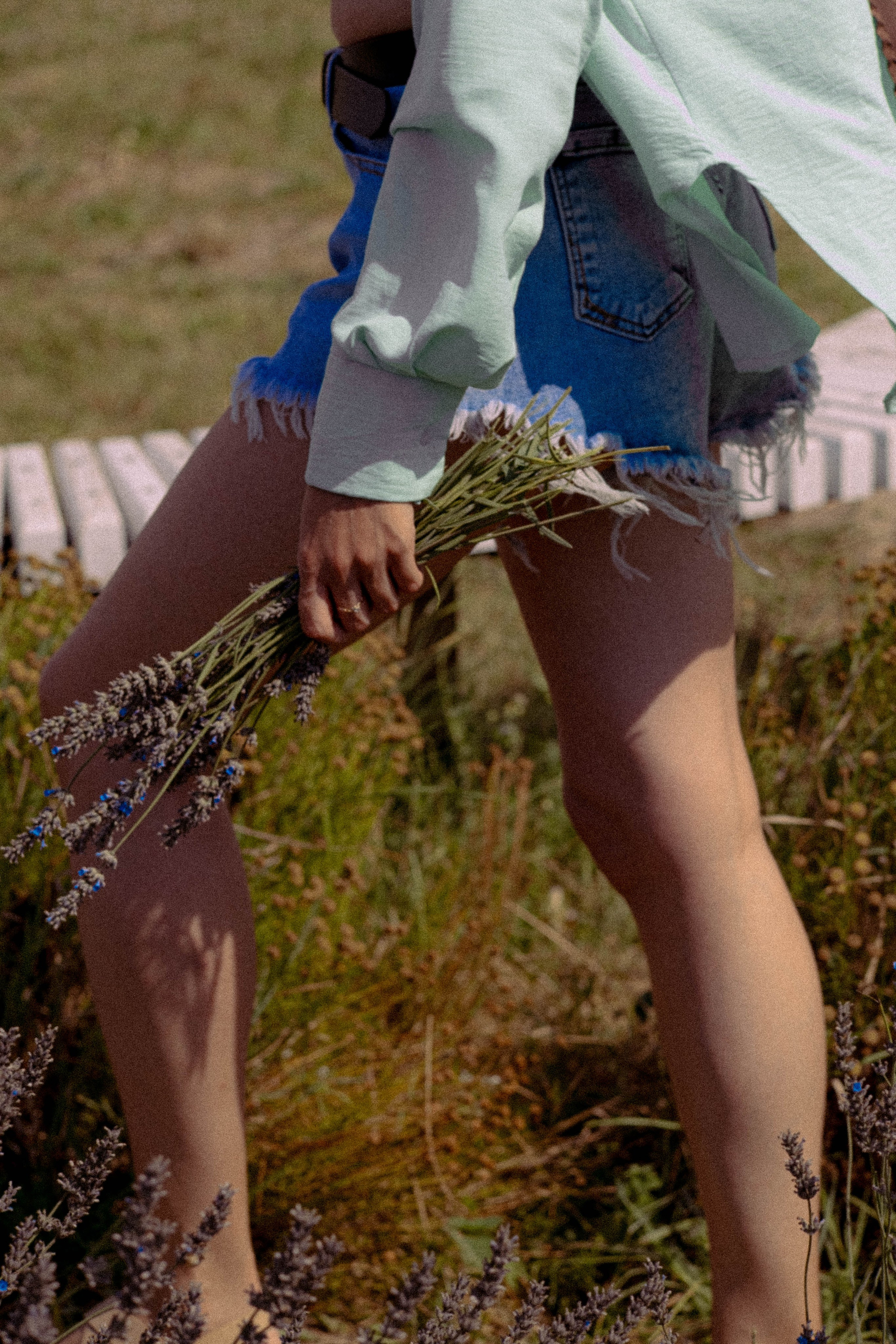 ЛАВАНВОДОВОЕ ПОЛЕ. Профессиональный фотограф, Санкт-Петербург — Виктория Богомолова