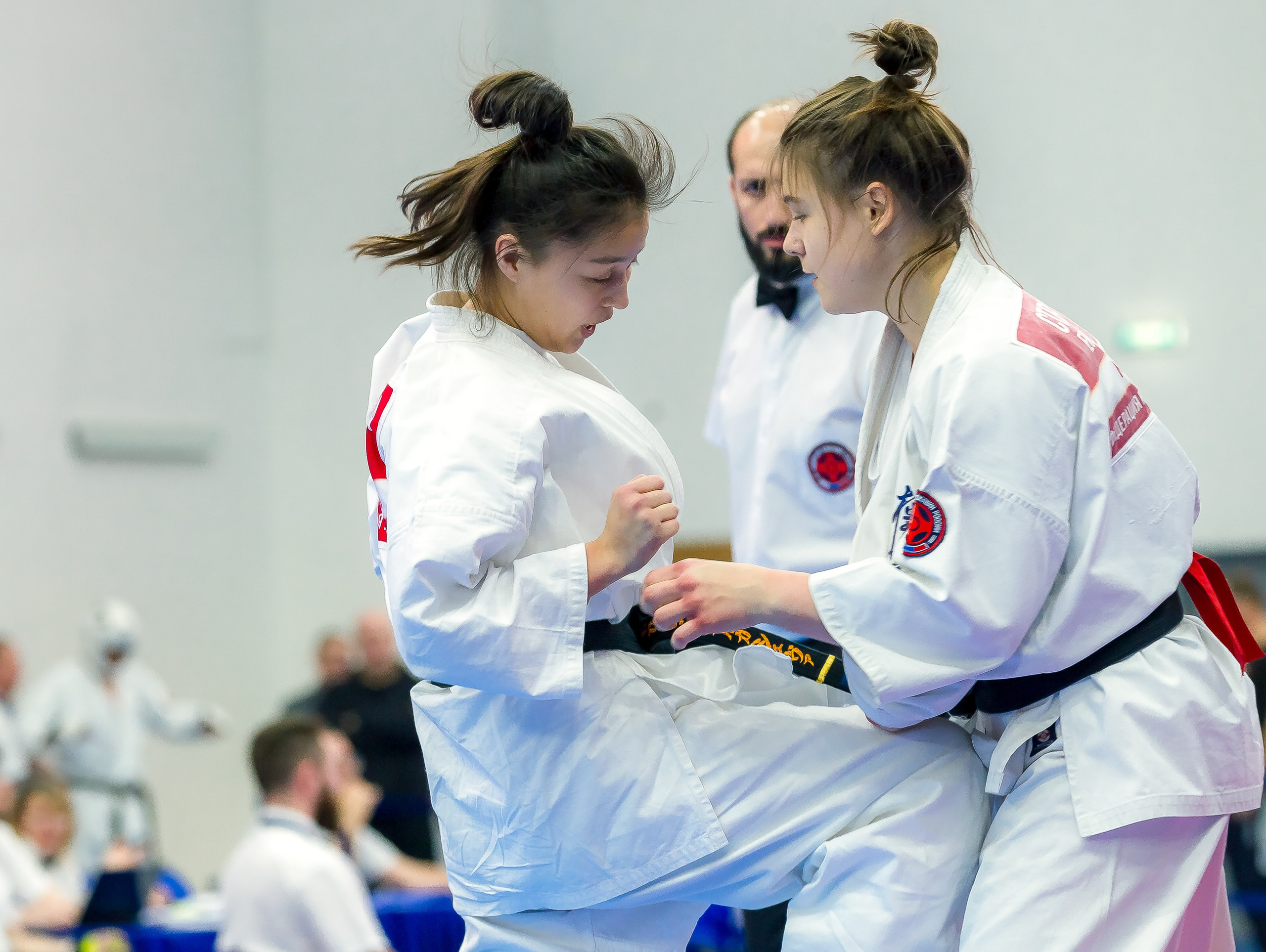 Соревнования по Киокушин памяти С. Увицкого. Репортажная съемка в Москве и области. Анималистика