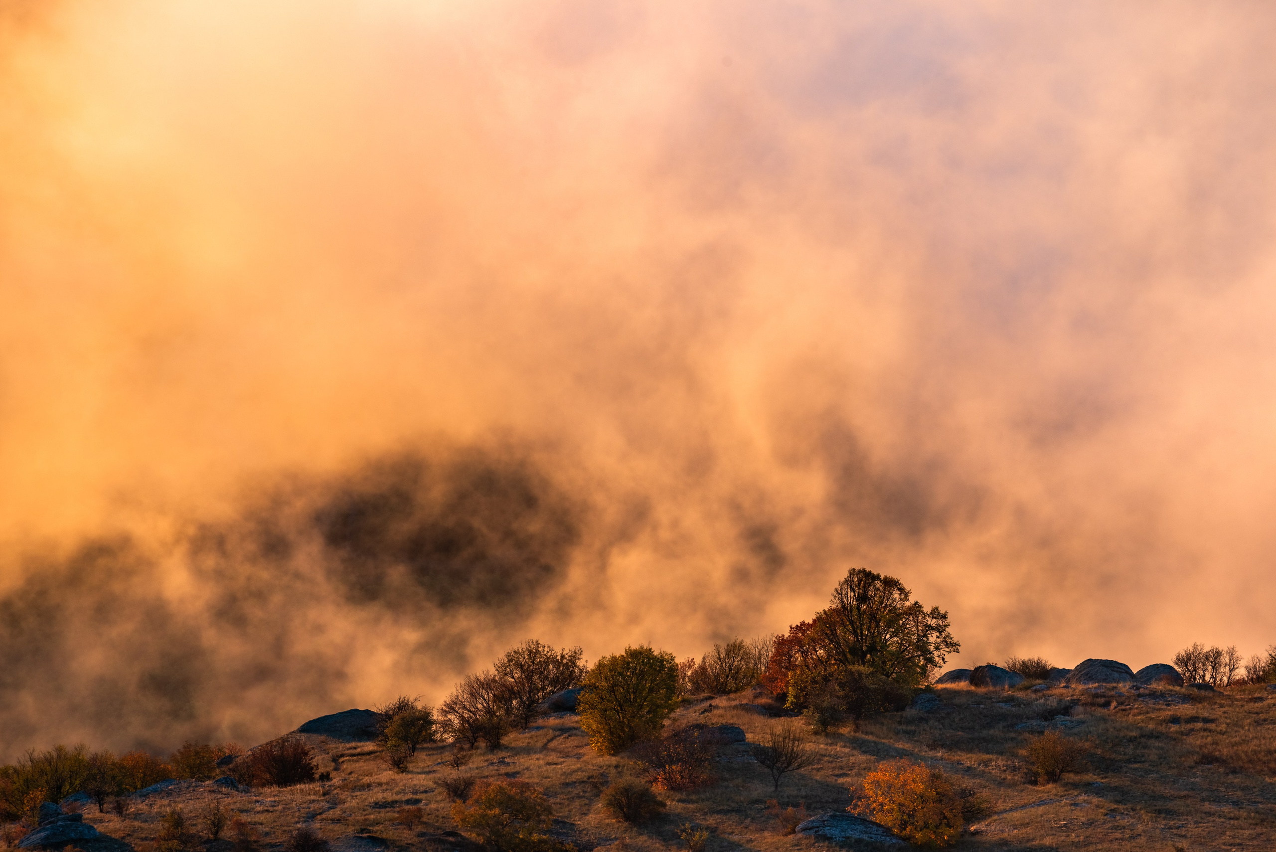 Путешествие по южному берегу Крыма в начале осени. Пейзажный фотограф Сергей Пестерев. Фото природы