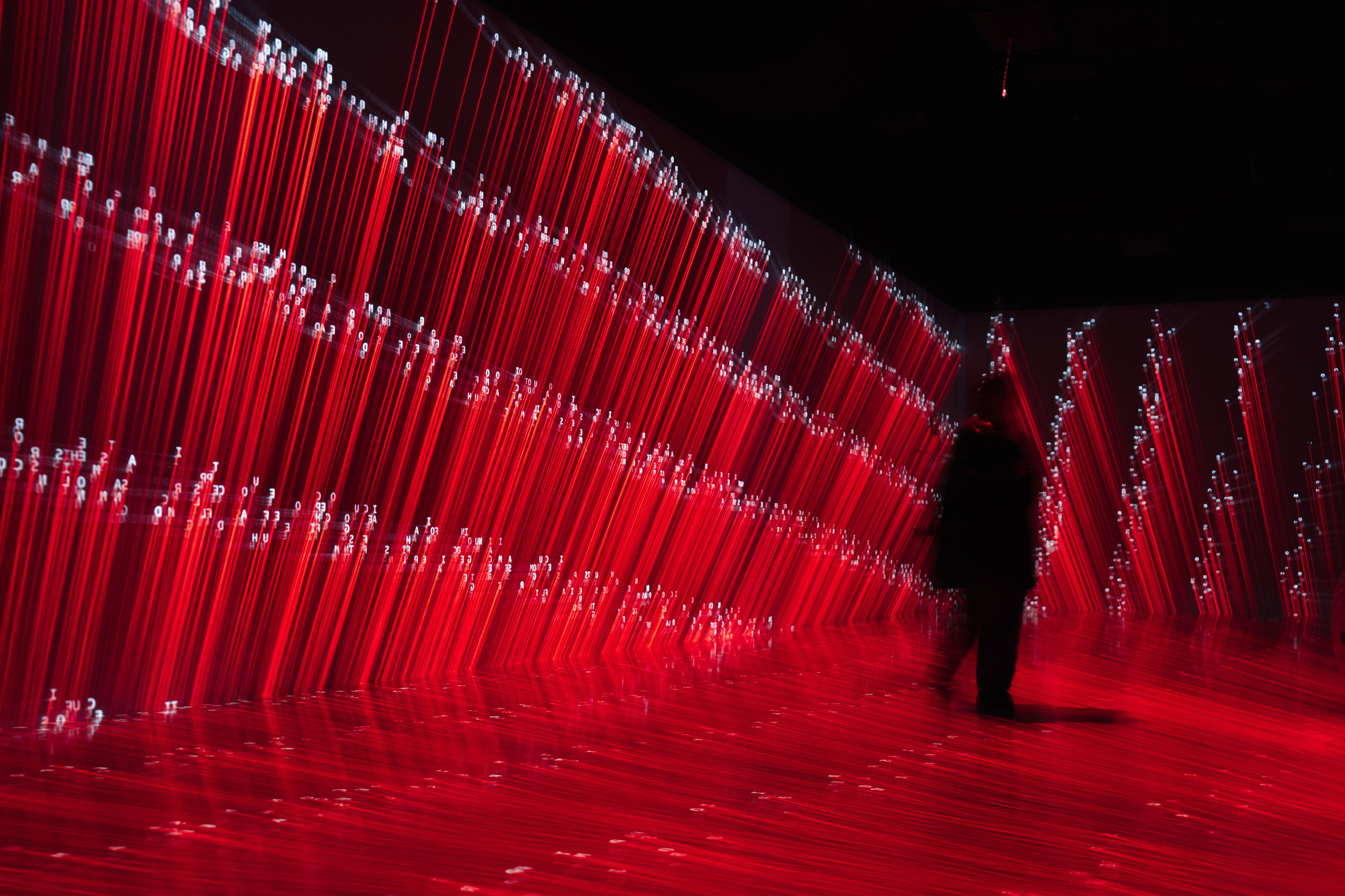 Generative Gallery & Luminar X, Making Magic. @tomrus: Рустам Шагиморданов — фотограф