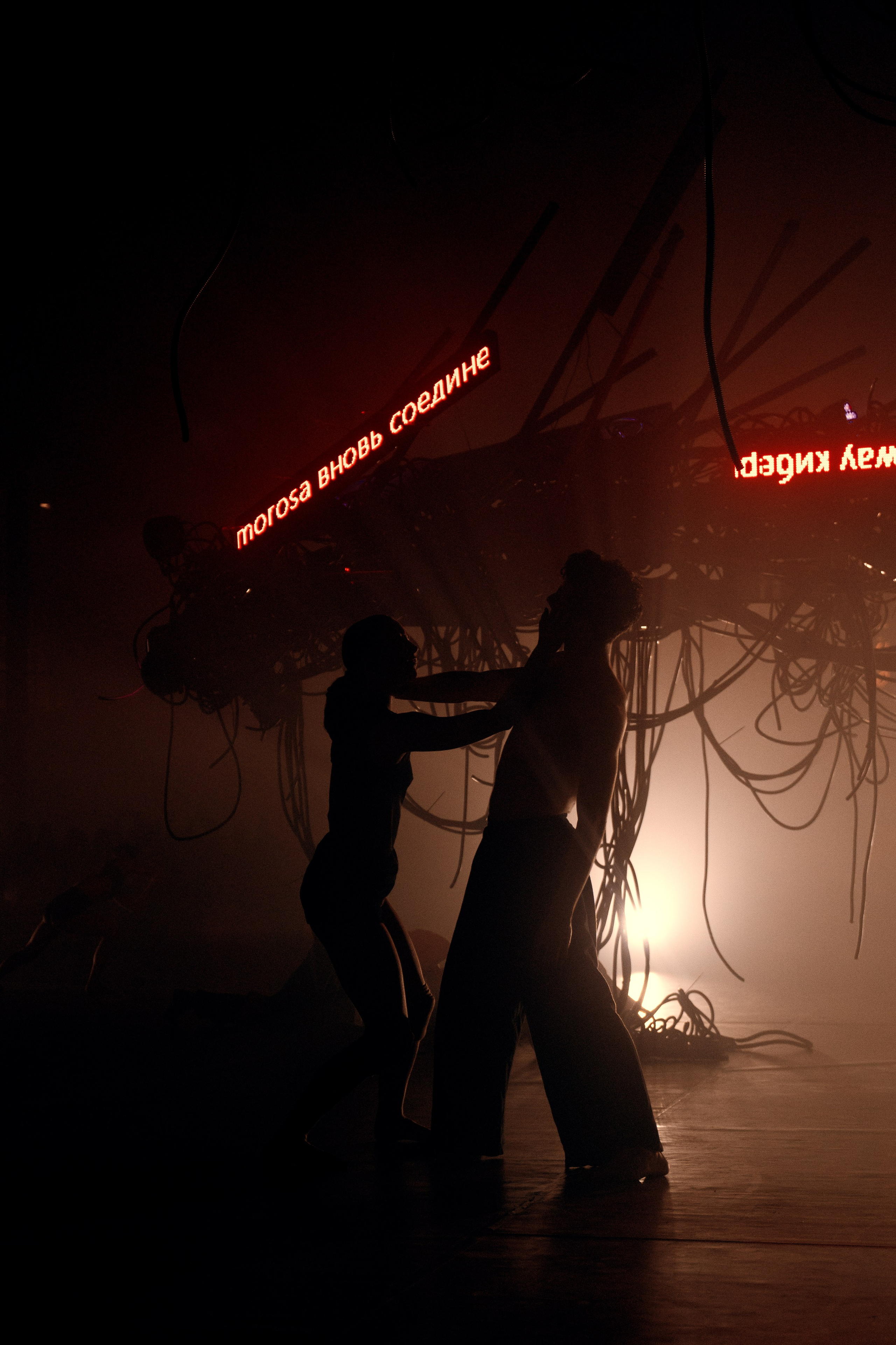 PERFORMA, The Hour of the Horse. @tomrus: Рустам Шагиморданов — фотограф