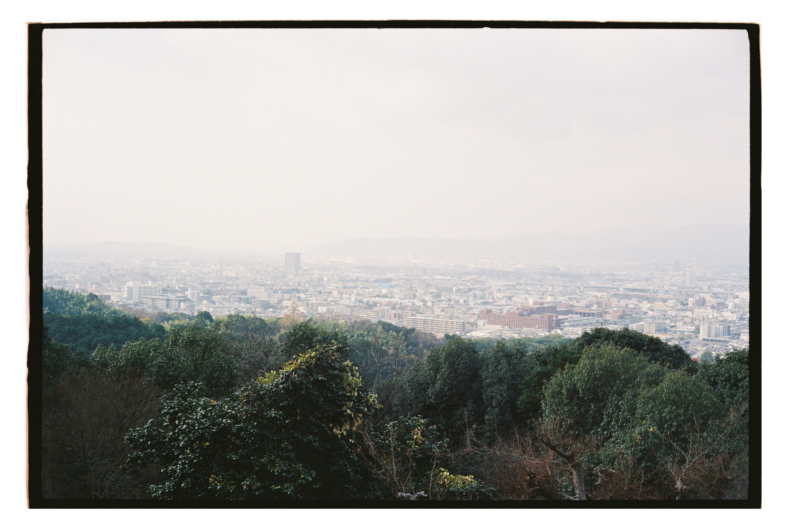 Japan. @tomrus: Рустам Шагиморданов — фотограф