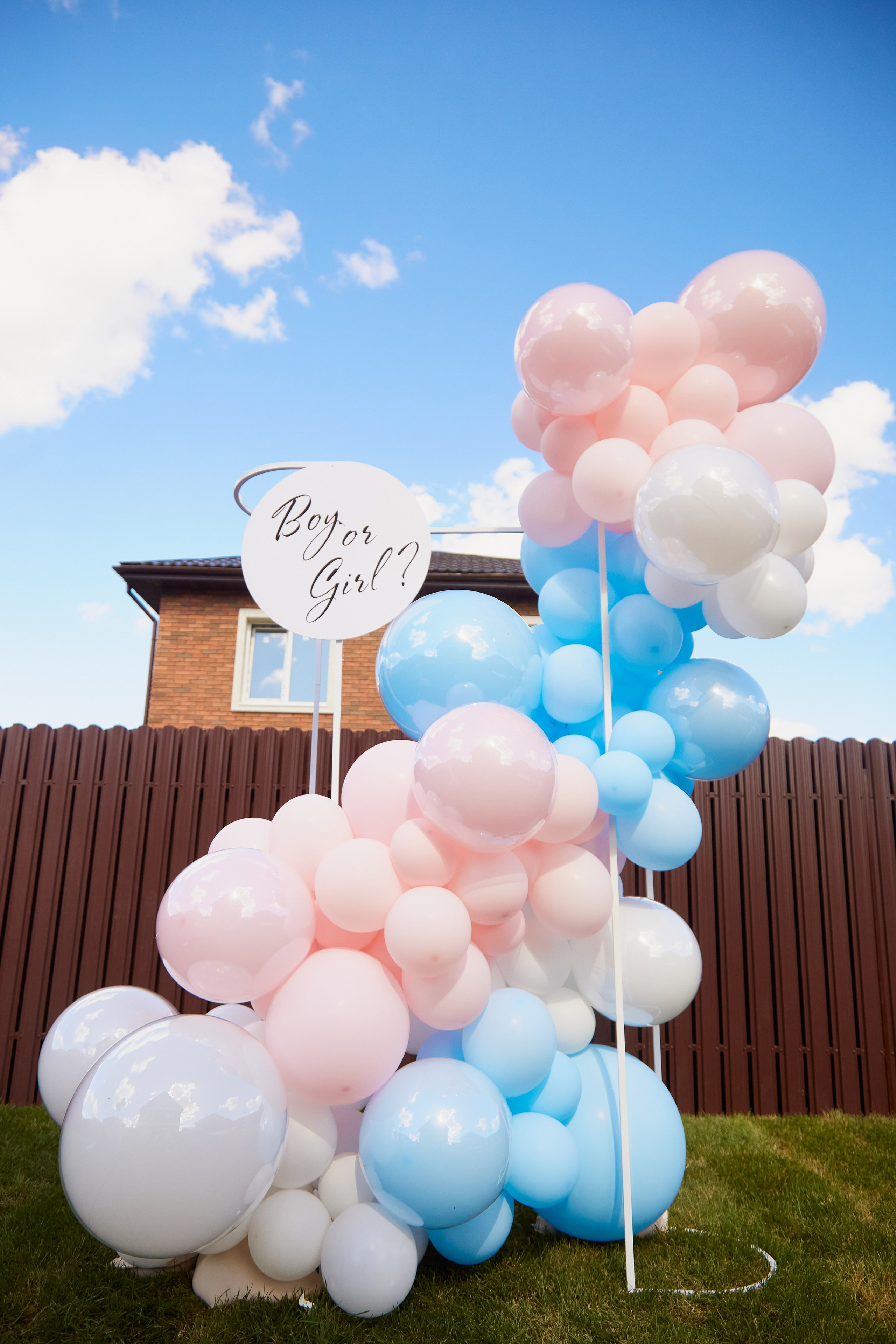 ГендерПати. Свадебный фотограф Москва и Московская область Борисов Сергей