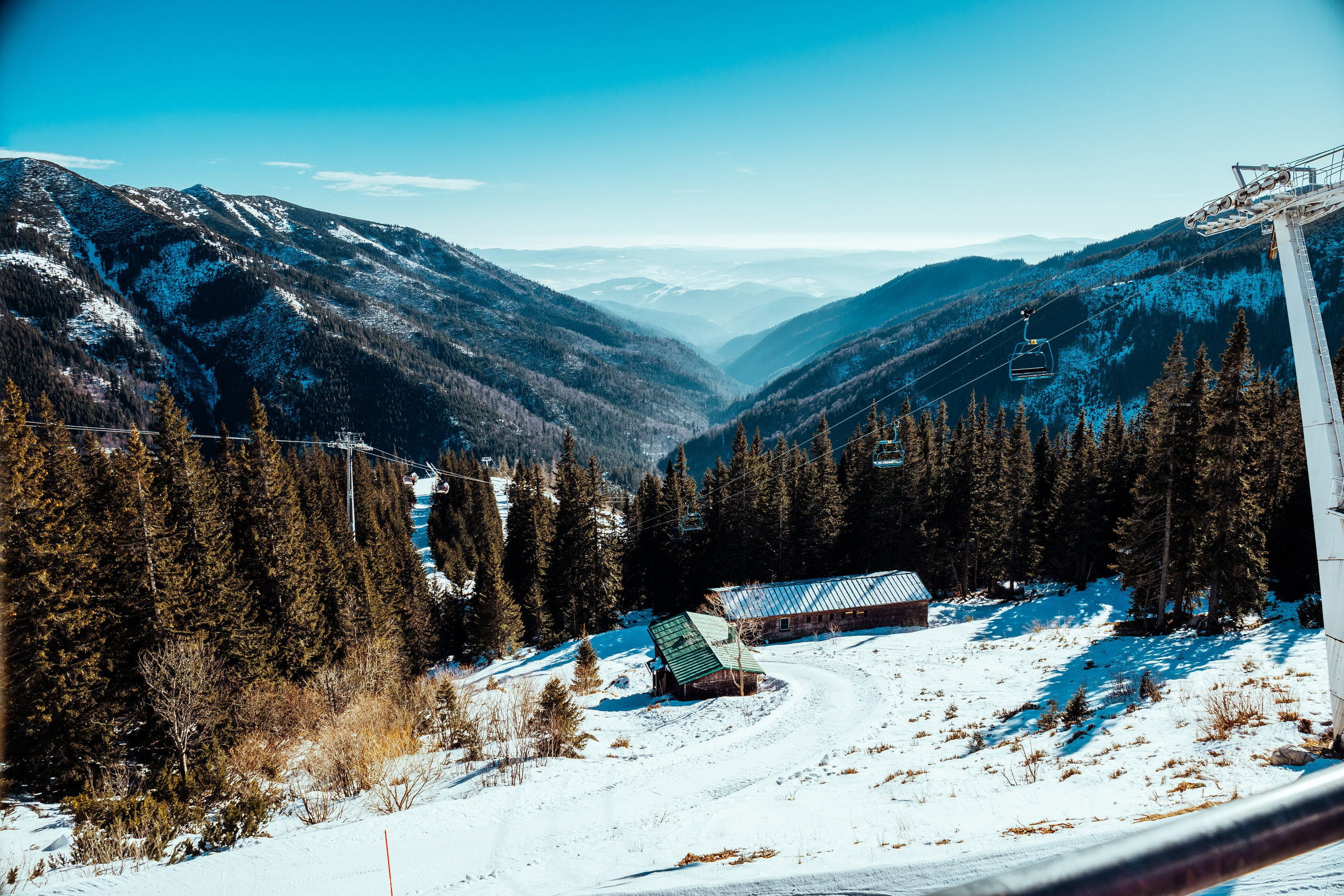 Лыжи 2025. Фотограф Владислав Воронович