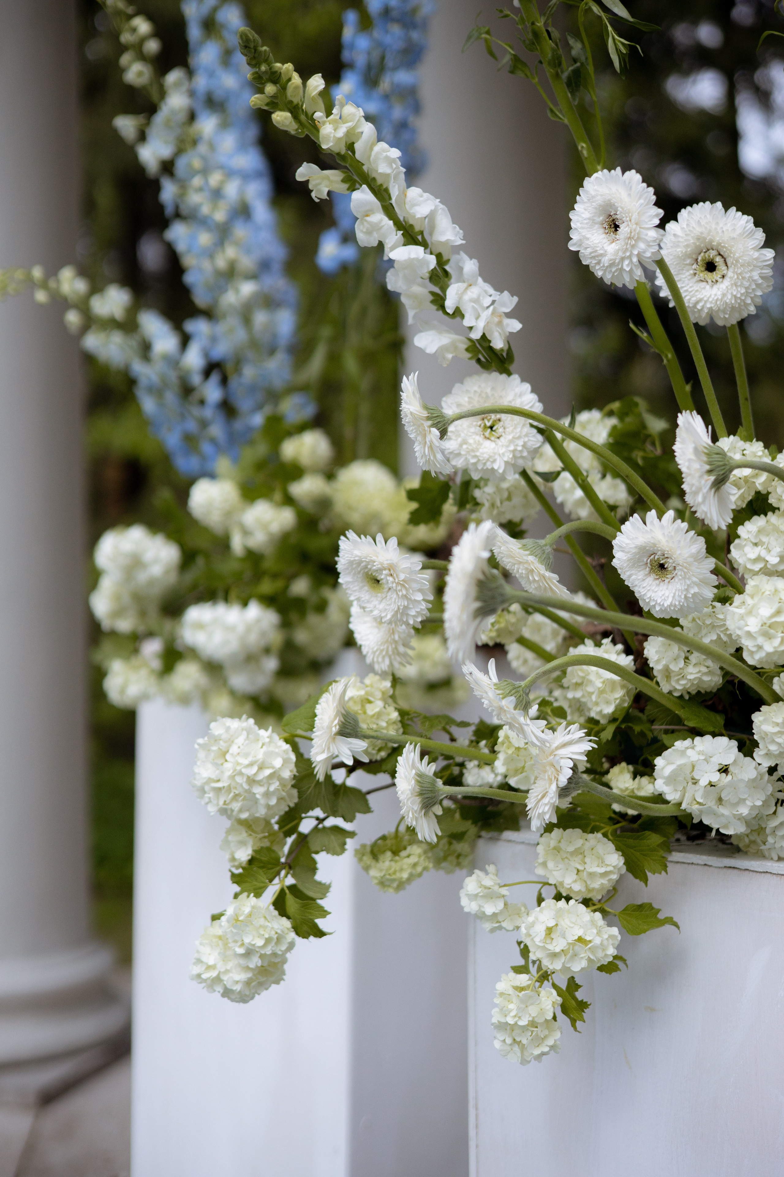 Анастасия & Никита. Оформление свадеб, декор свадеб Вера Маркова, Москва