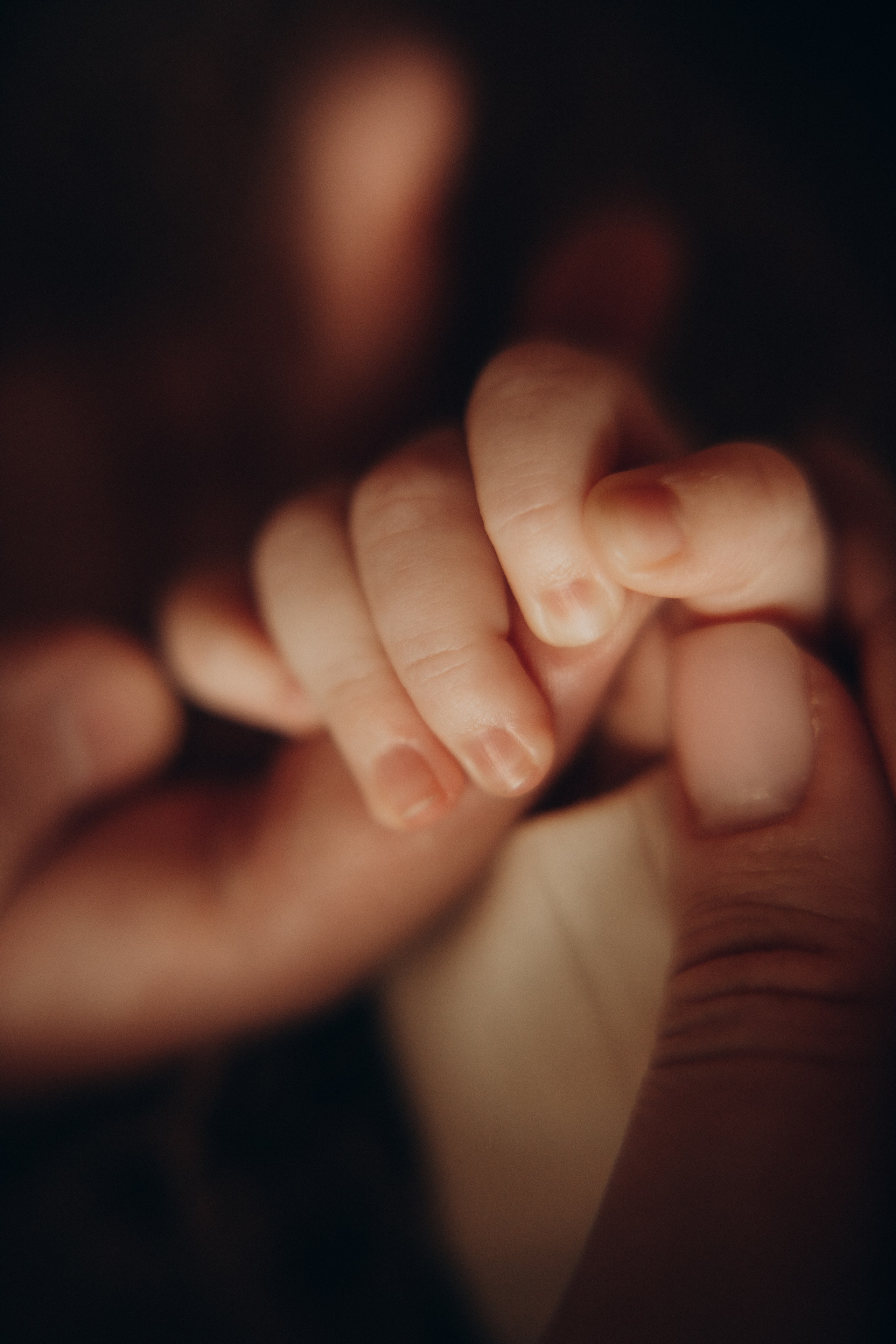 Семья. Семейный фотограф в Челябинске Ксения Зубкова