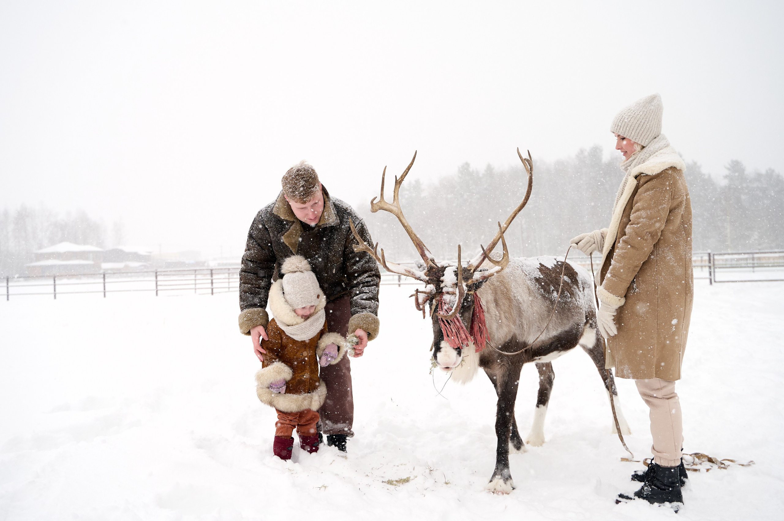 Дмитрий Тамара Ирина. Фотограф Егорьевск Коломна Воскресенск