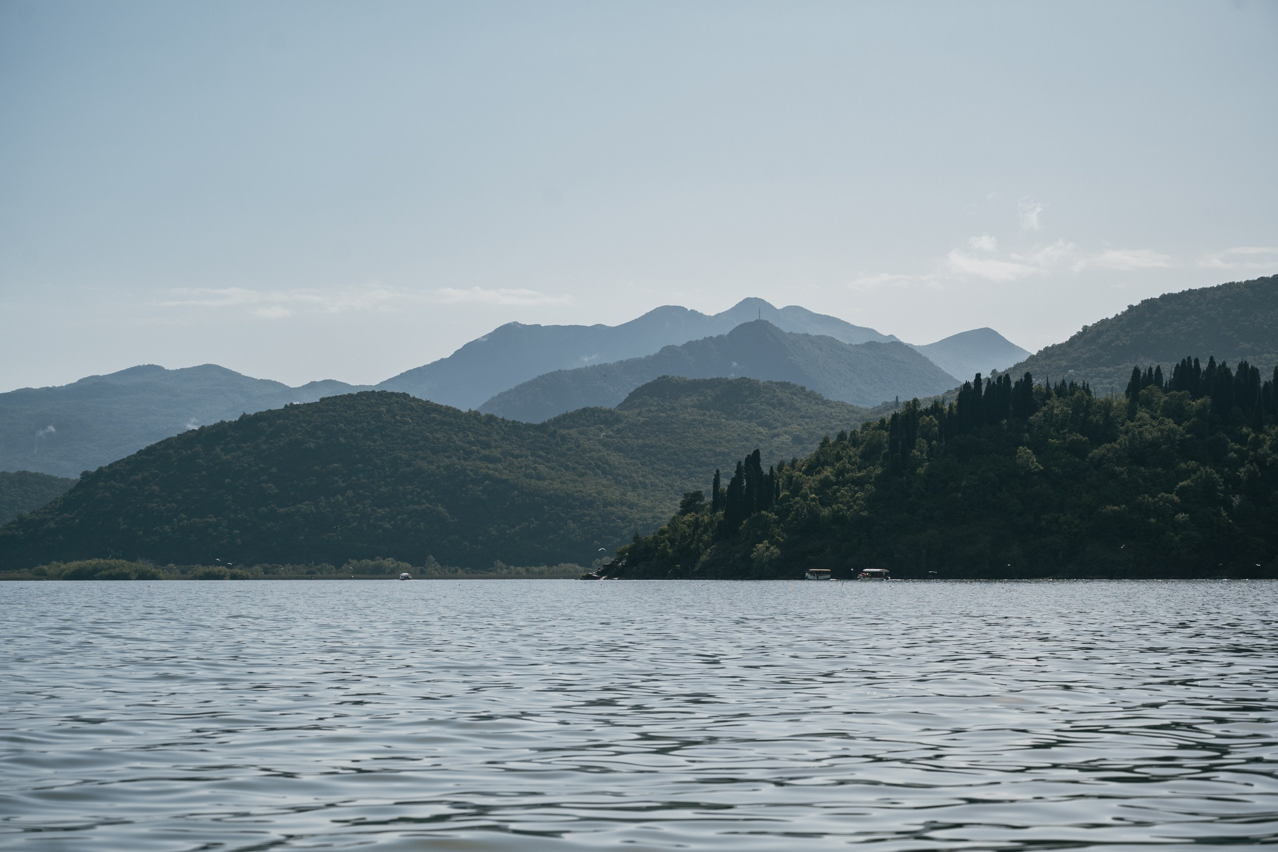 СКАДАРСКОЕ ОЗЕРО. ЧЕРНОГОРИЯ. Фотограф в Белграде Чугреева Елена