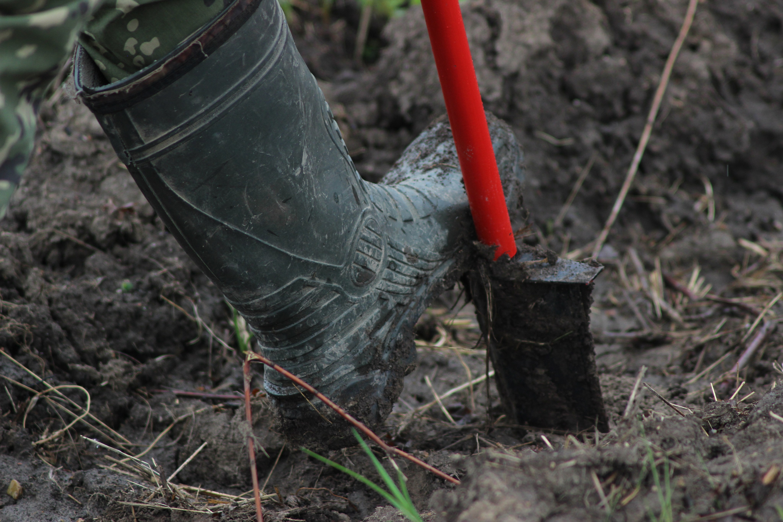 Siberian wellness «100 Га от нас — планете»