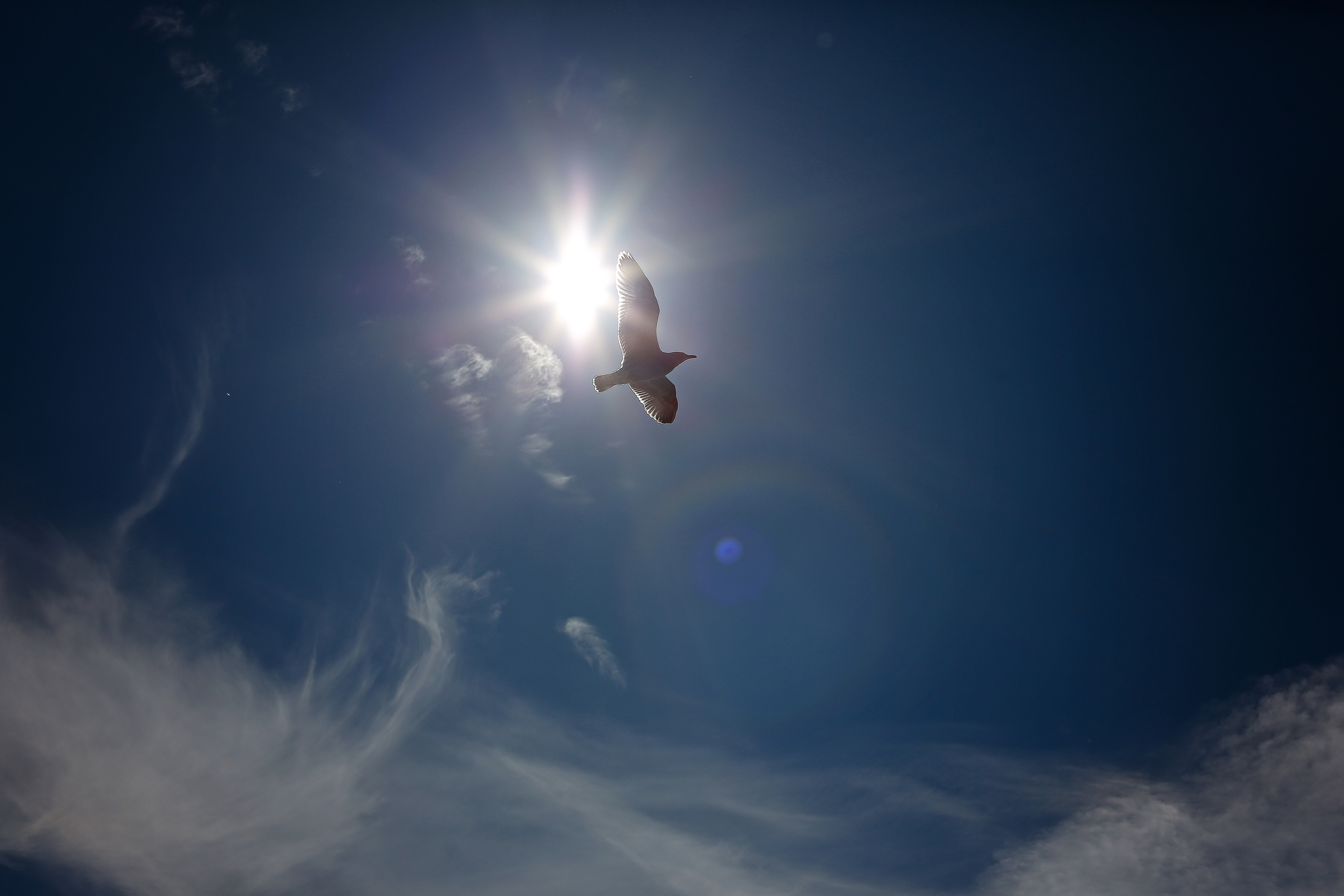 Ветер в волосах. Семейный, женский фотограф Москве Лиза Лутцева