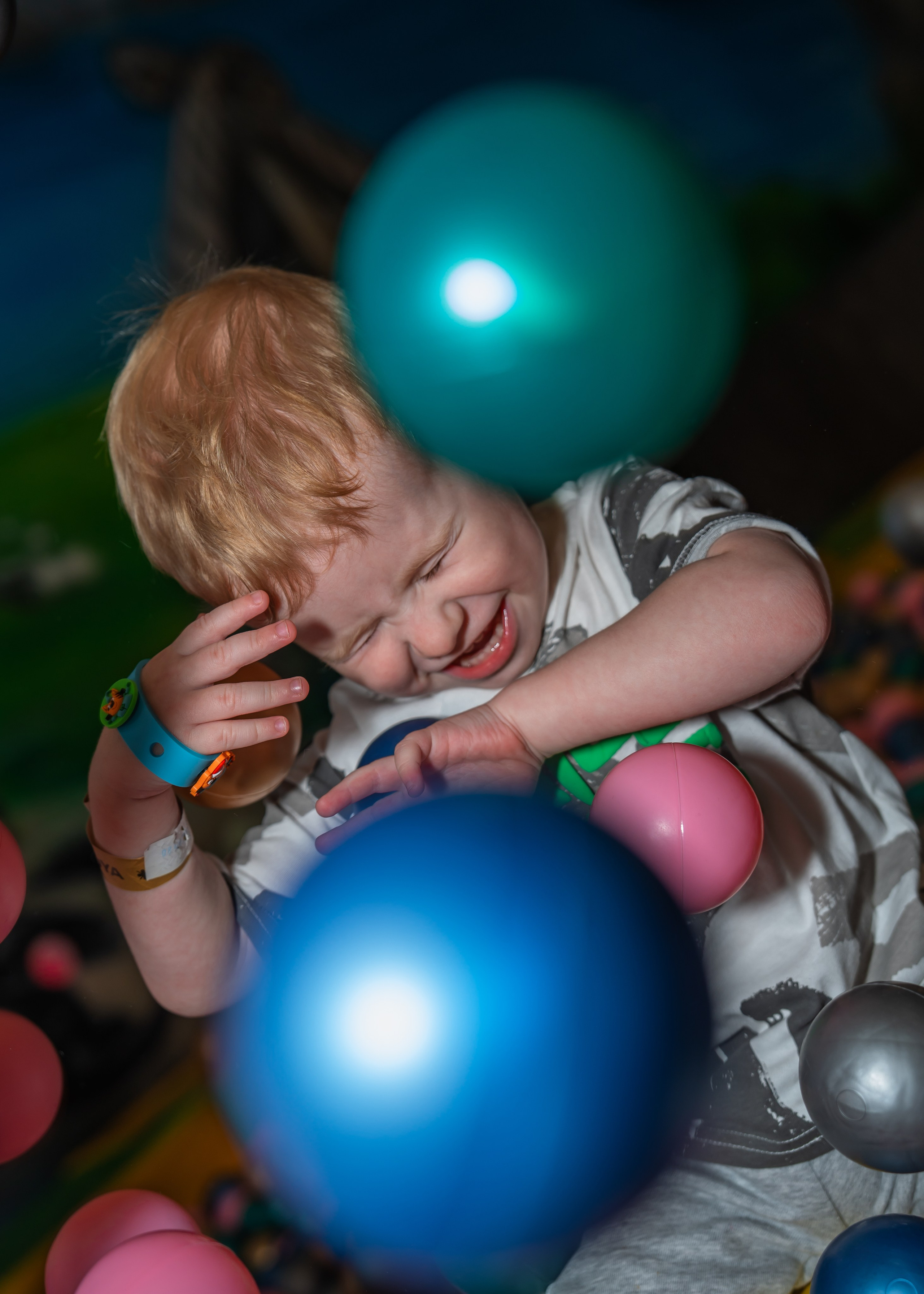 Коржик в Joki Joya. Крамер Юлиана детский и семейный фотограф