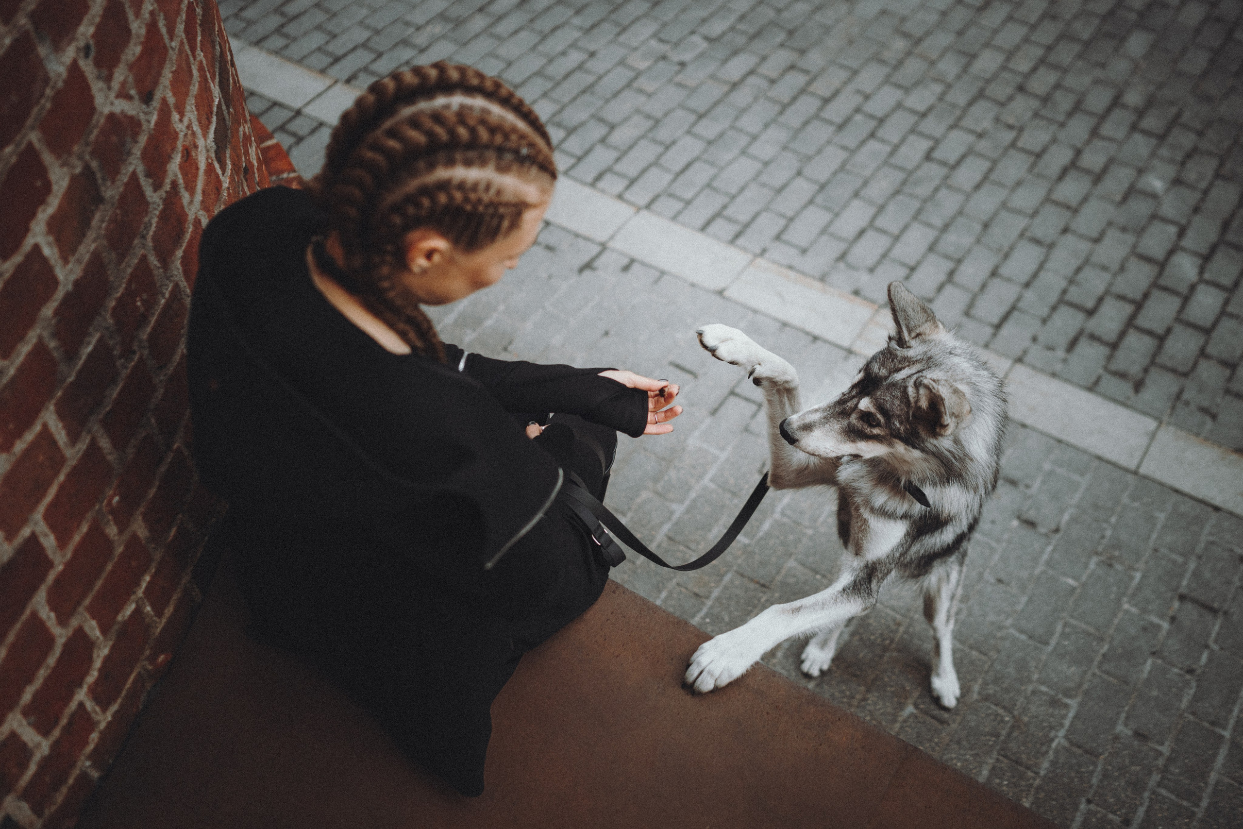 Вика и Кора. Семейный фотограф анималист Ананьева Мария — Москва