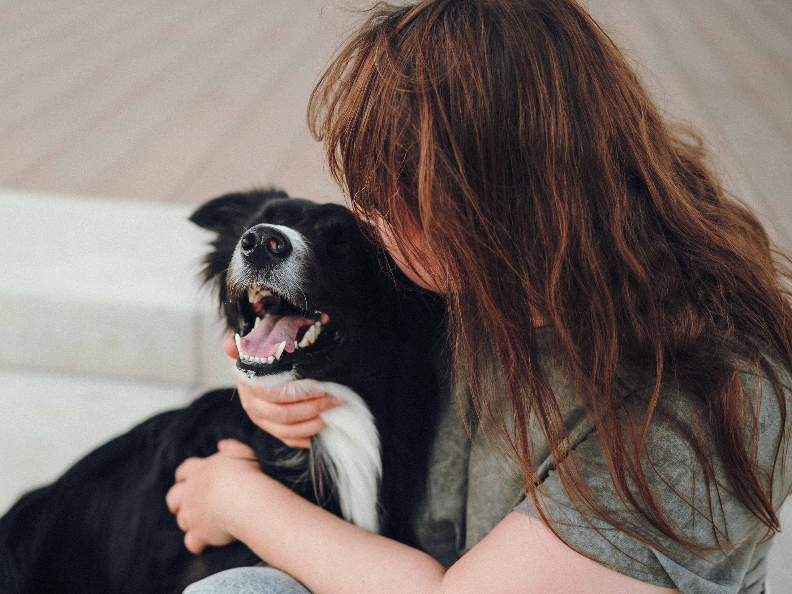 Марина и Эдж. Семейный фотограф анималист Ананьева Мария — Москва