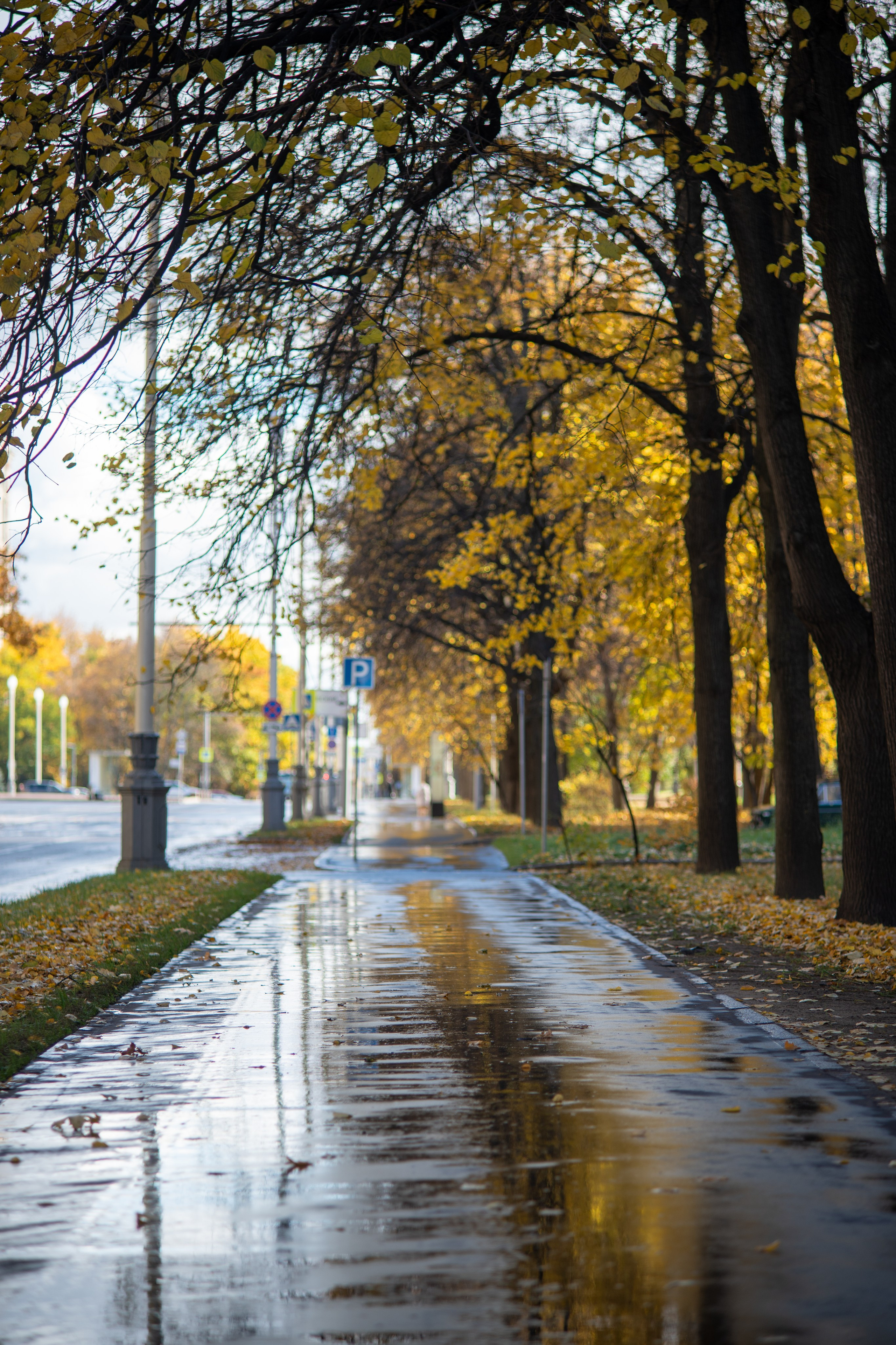 20251012 МГУ. Дмитрий Ремизов. Фотография, как хобби