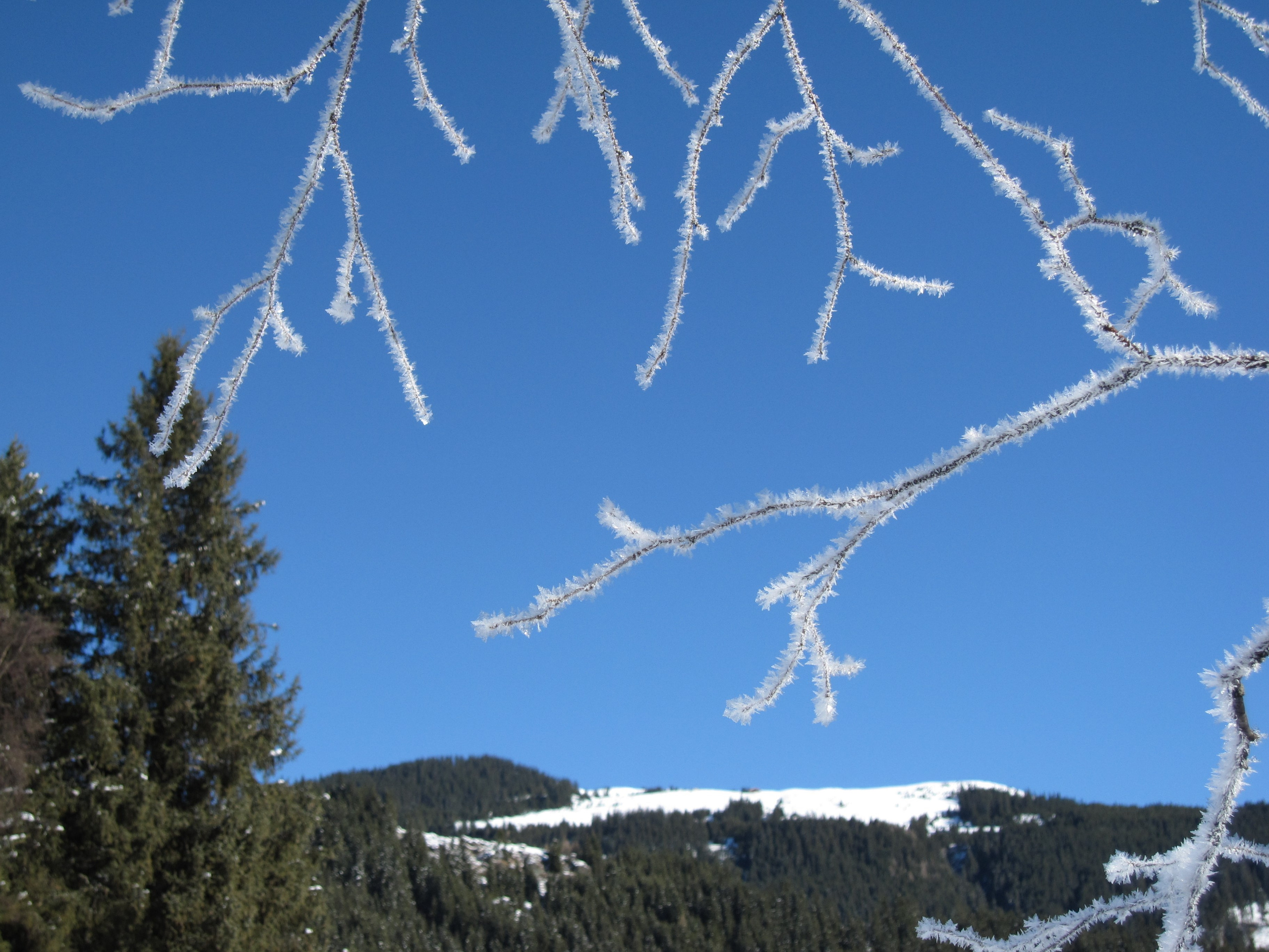 События. OneSnap