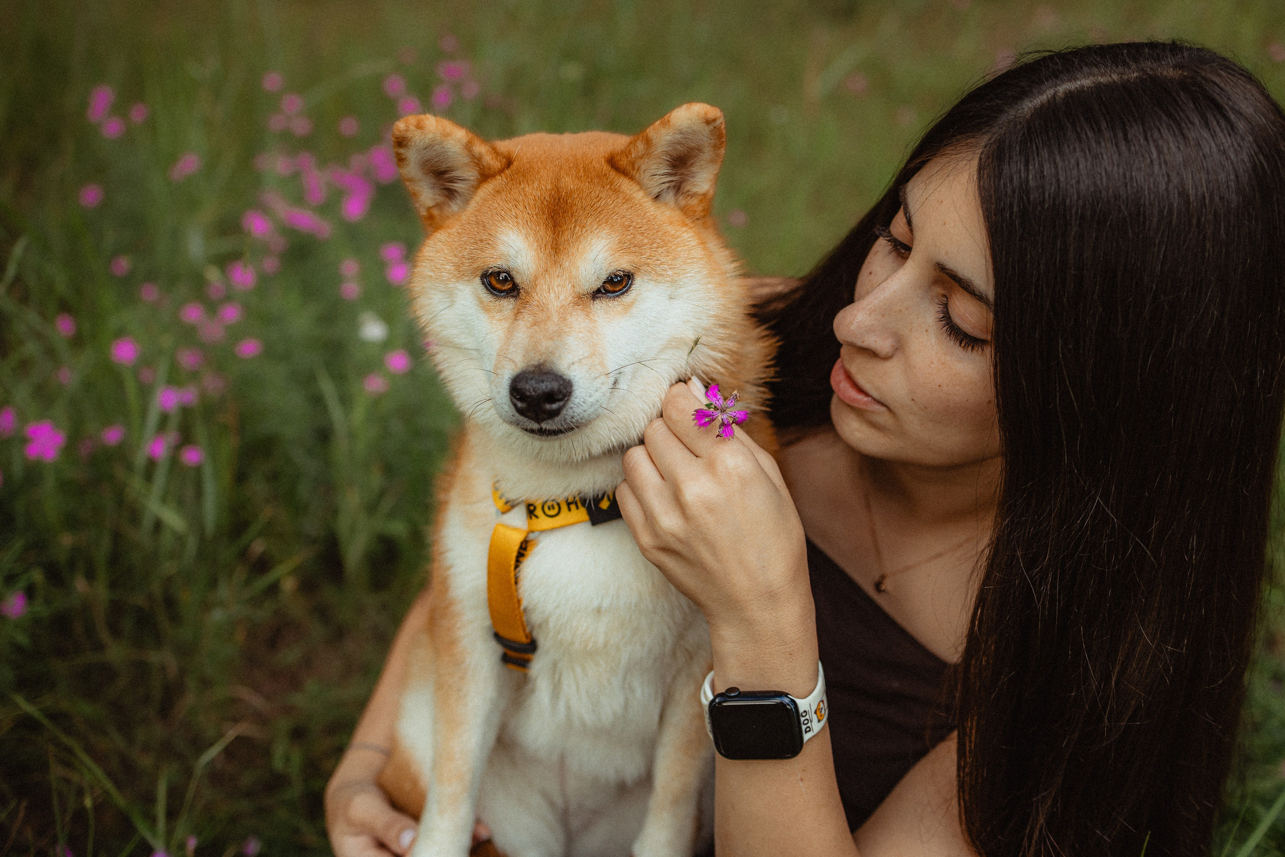 Выездной дог-тренинг от школы «Шерсть имею»