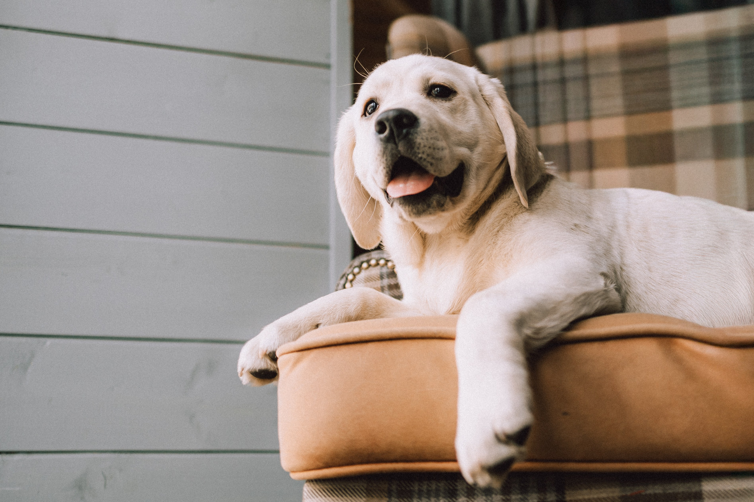 Ума, Берта и их семья