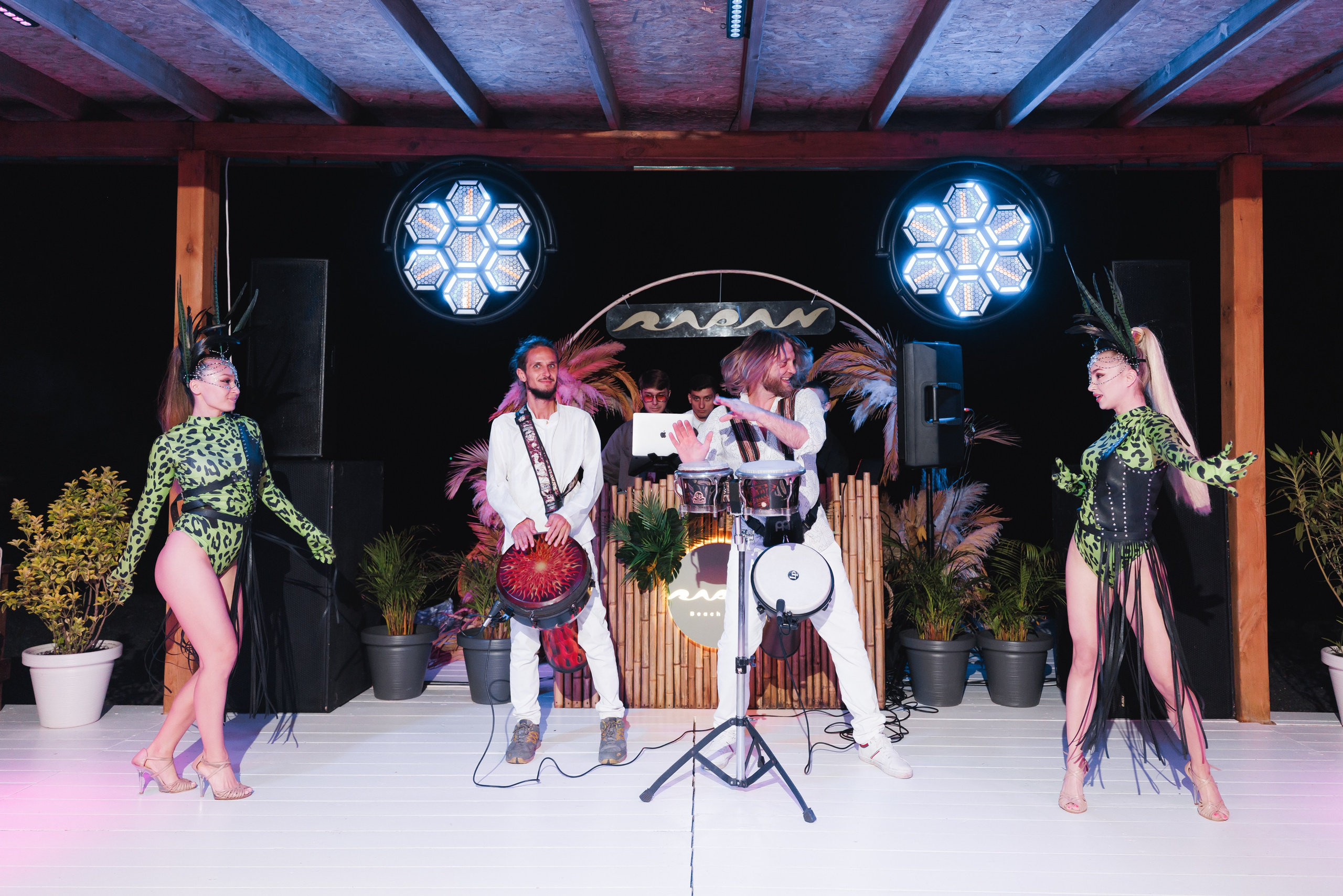 31.05.2025 TROPICAL DISCO BIRTHDAY PARTY. ProVizArt