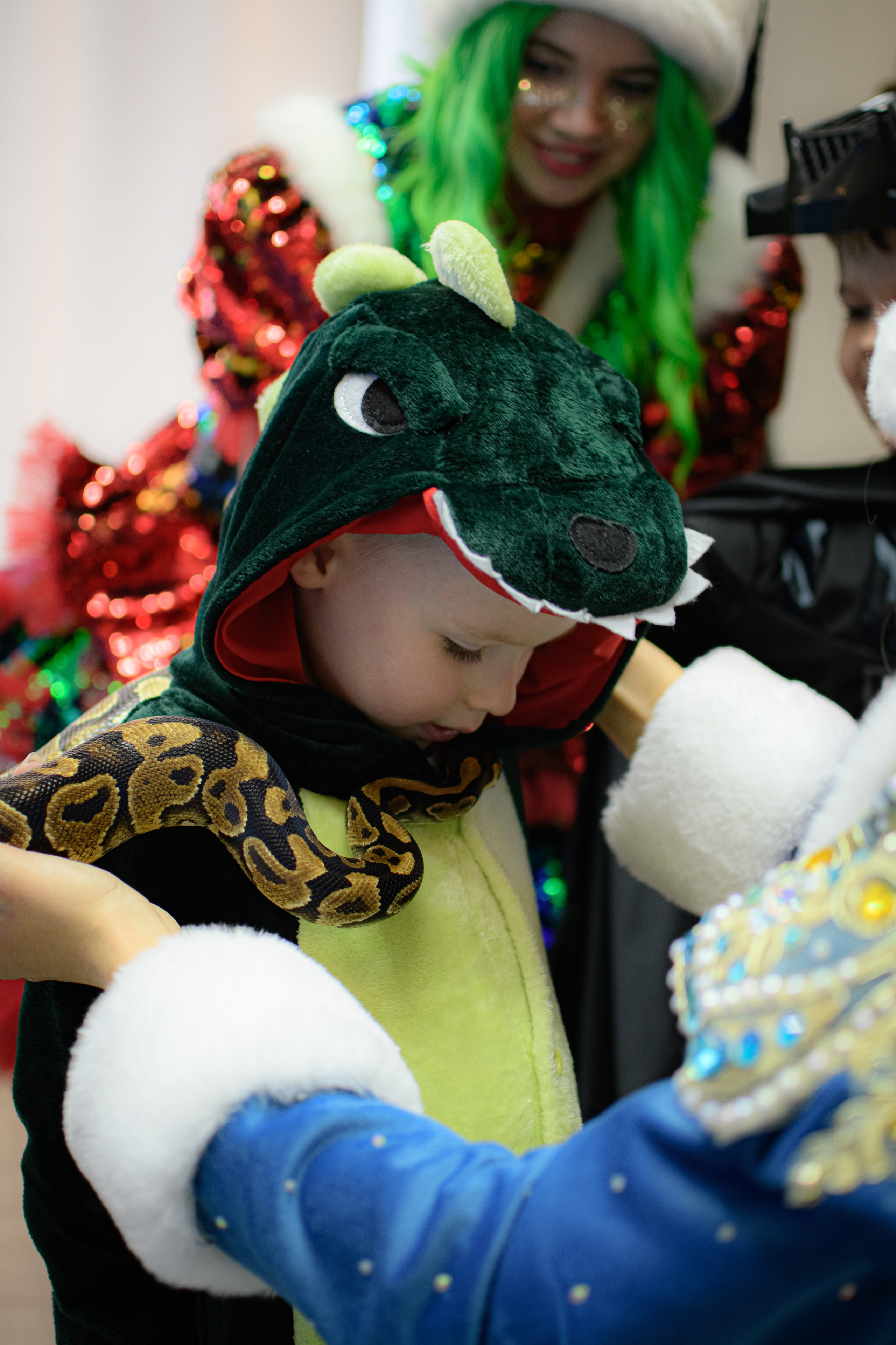 HAPPY NEW YEAR. Photokarish