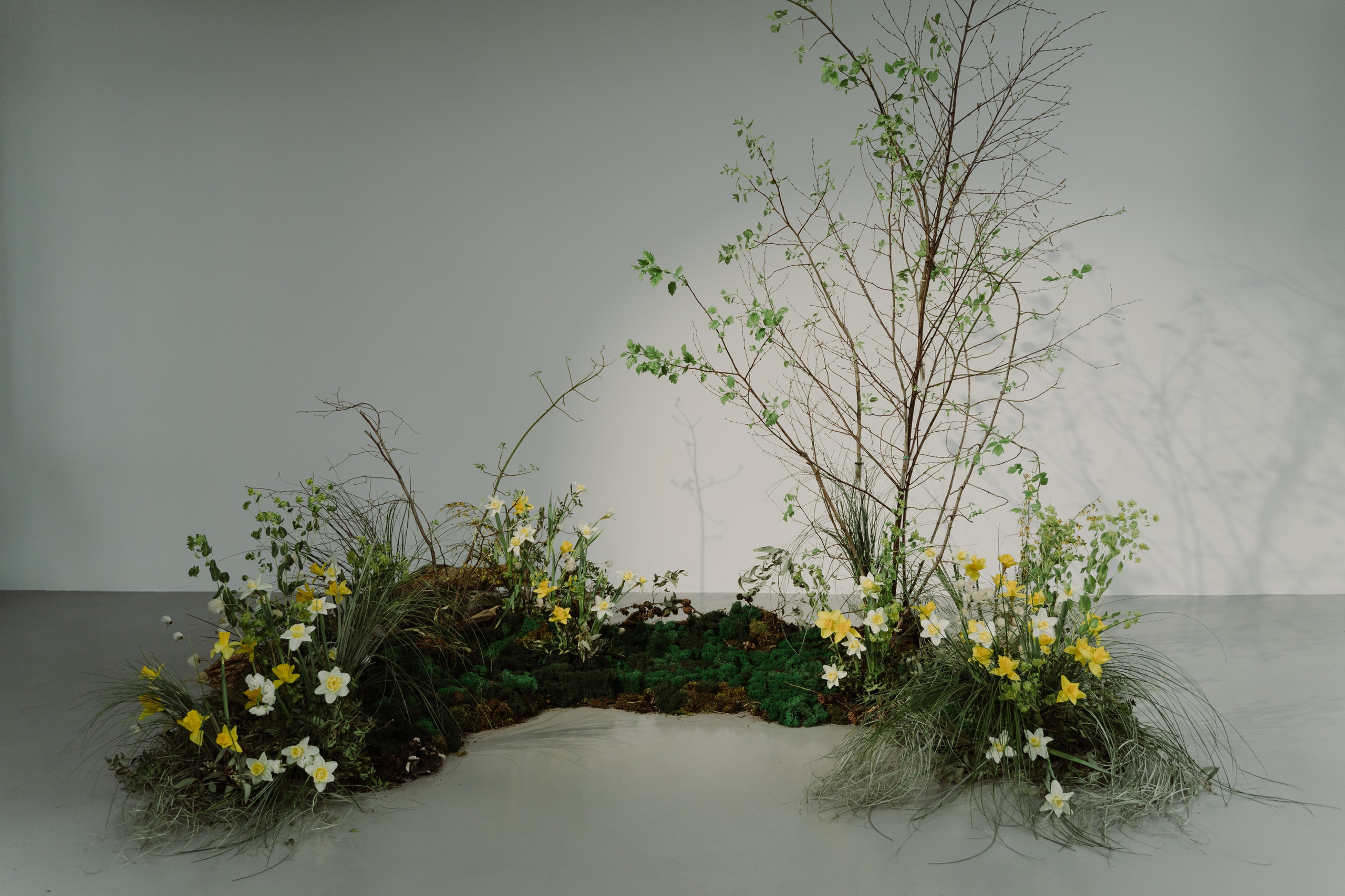 Сет-дизайн. Флористика и декор в Санкт-Петербурге