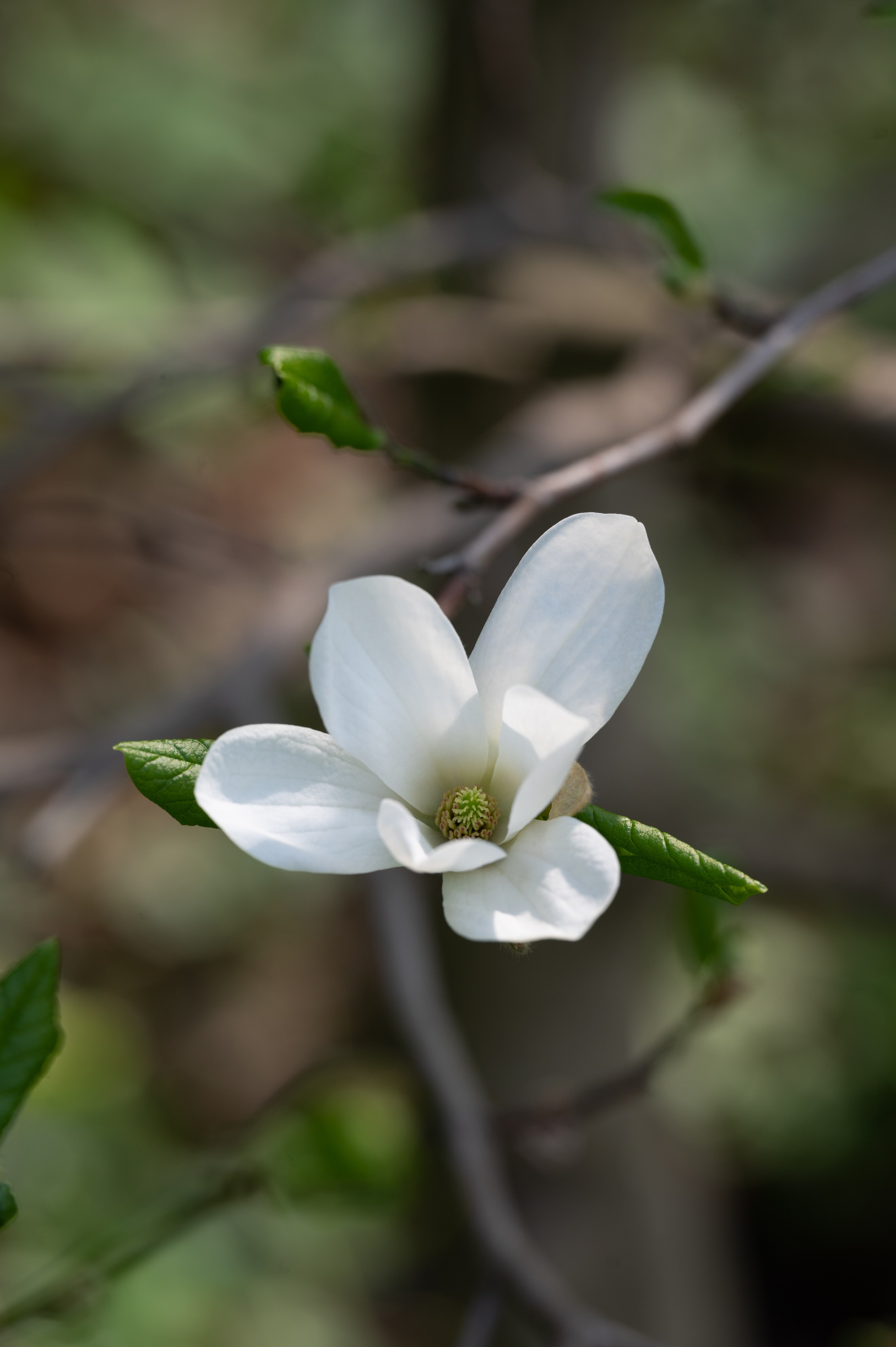 Пикник. Мир живой фотографии о Вас и для Вас