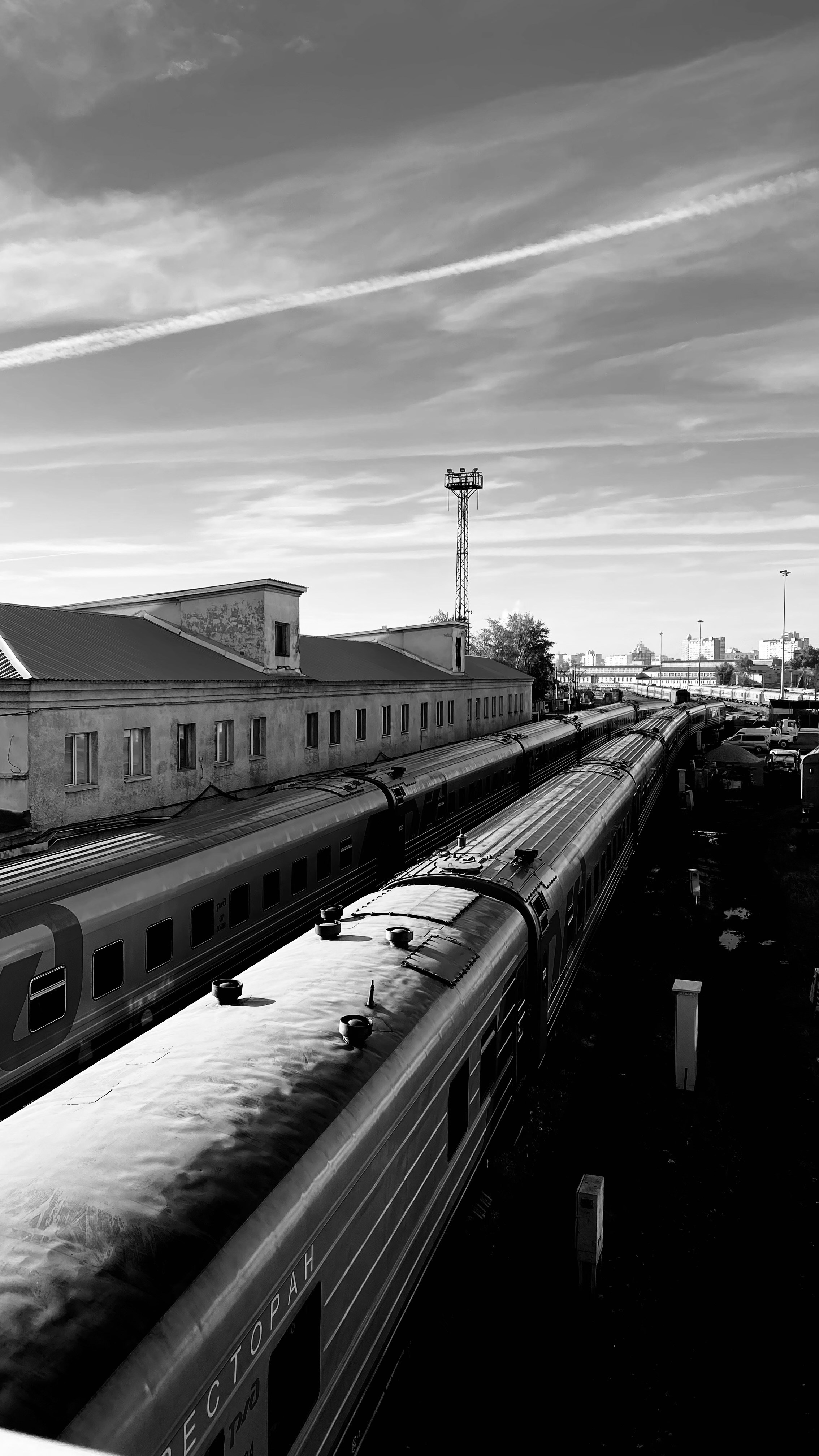 Мобильное фото. Фотограф в Москве Айгуль Евграфова