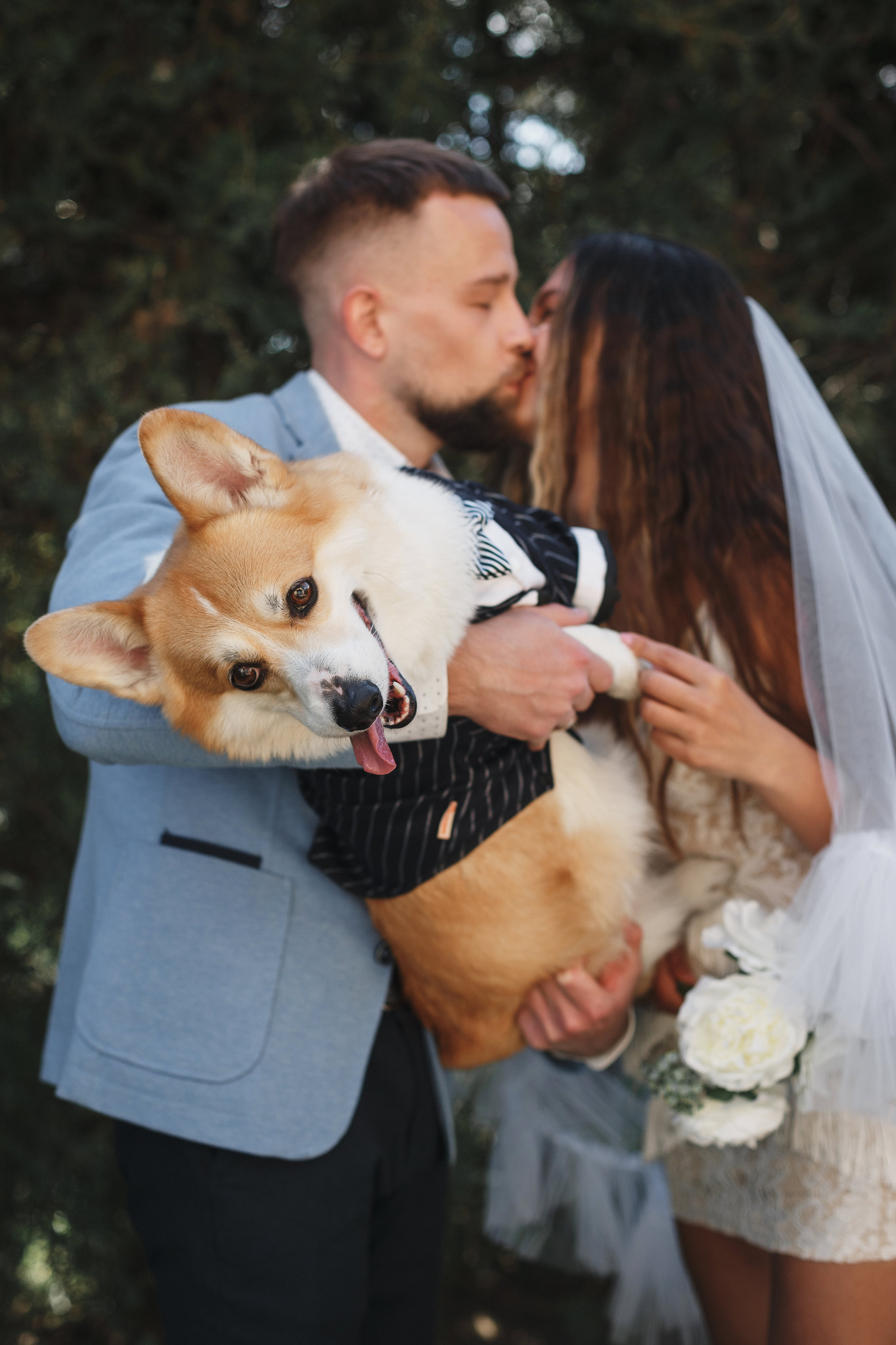 Фотосессия в Таганроге: Денис и Маша с их очаровательной собакой. Свадебный и семейный фотограф в Таганроге Бакарюк Антон