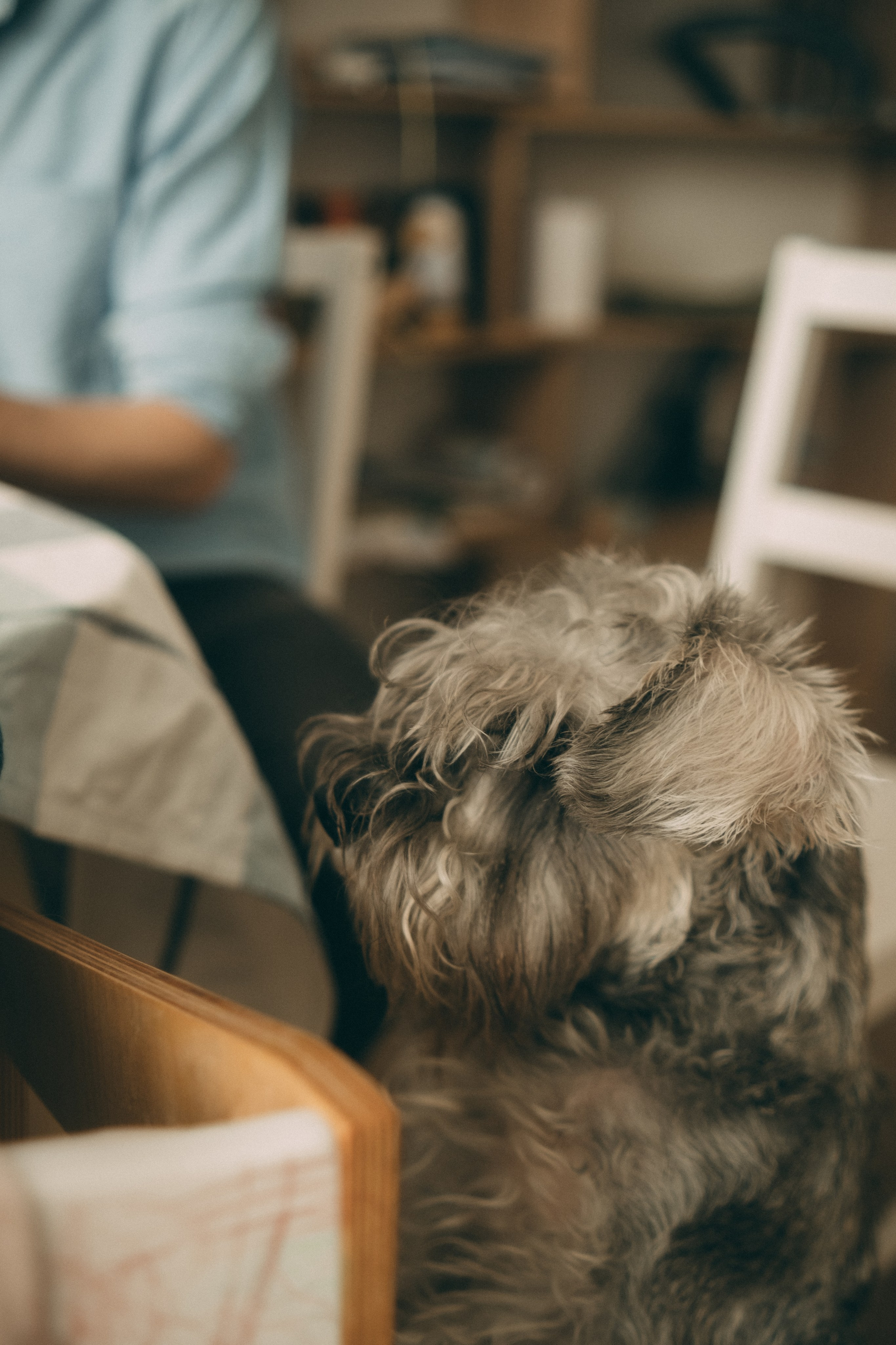 Праздничное утро Евы. Видеограф и фотограф Анна Грачева г. Москва